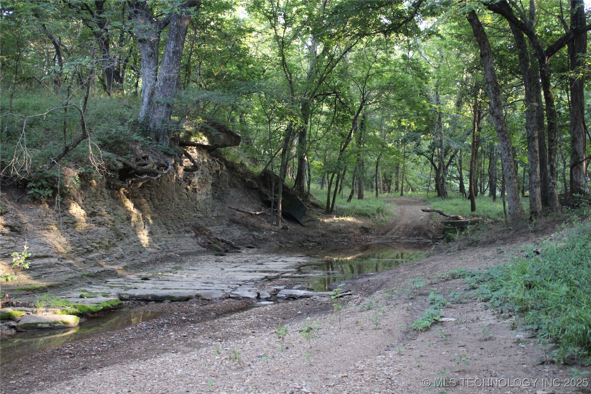 20750 Ns 410 Road Property Photo 57