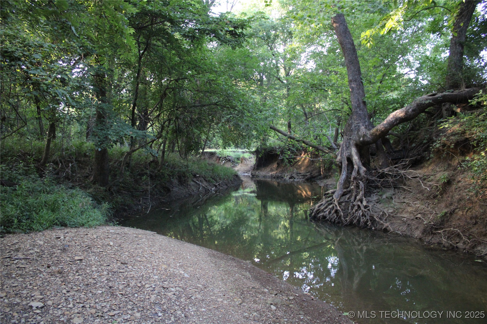 20750 Ns 410 Road Property Photo 58