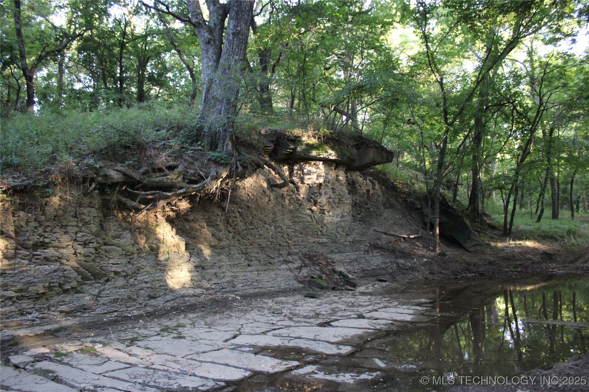 20750 Ns 410 Road Property Photo 60