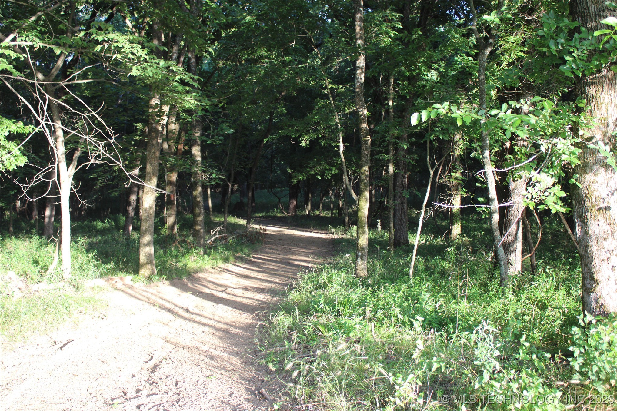 20750 Ns 410 Road Property Photo 63