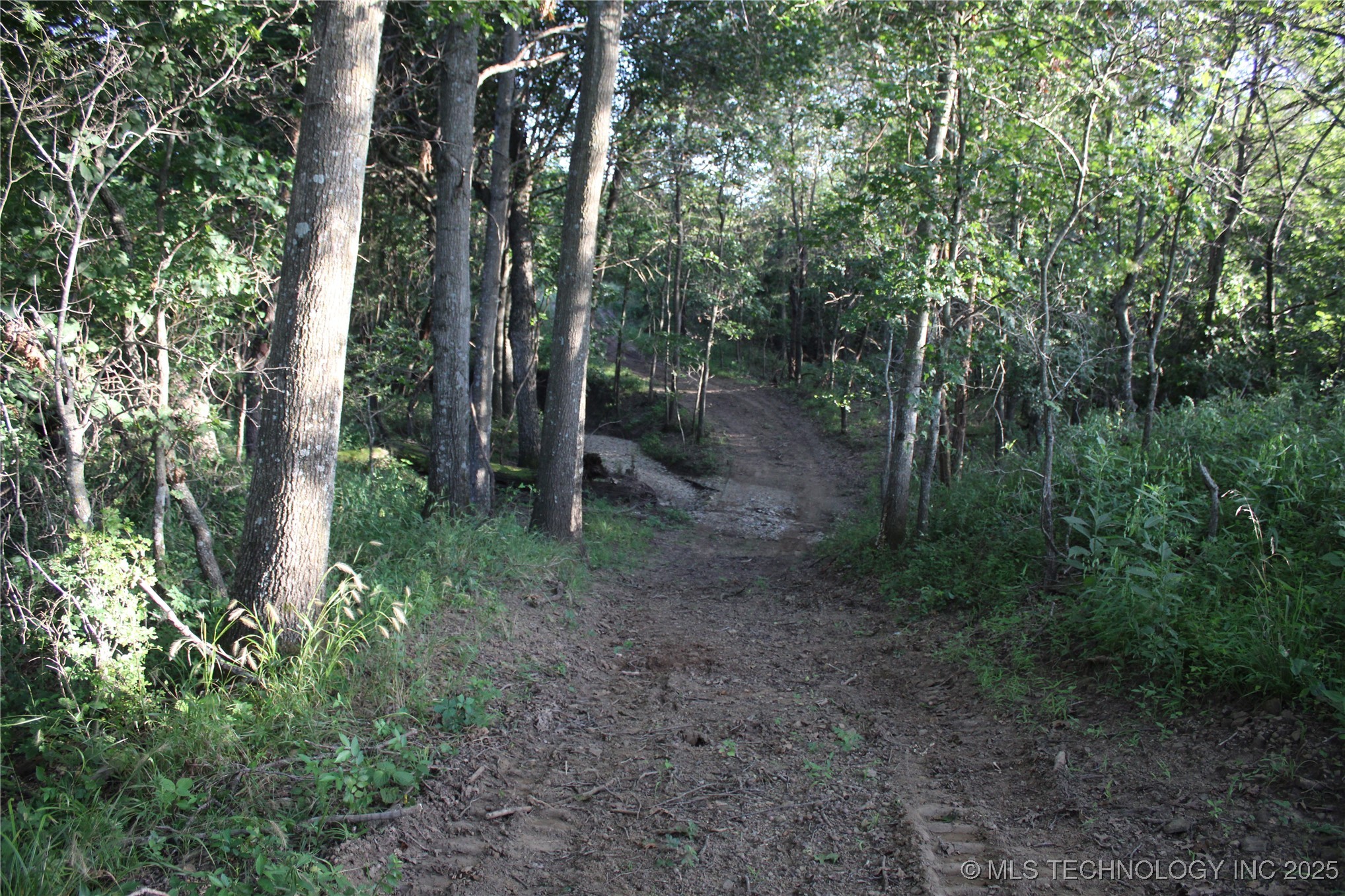 20750 Ns 410 Road Property Photo 64