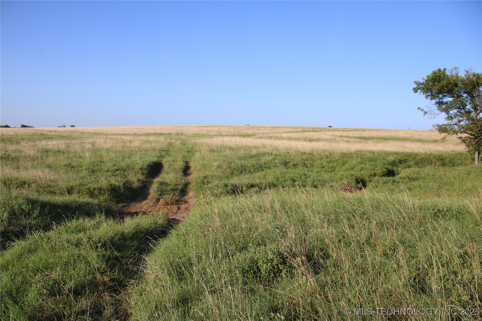 20750 Ns 410 Road Property Photo 68