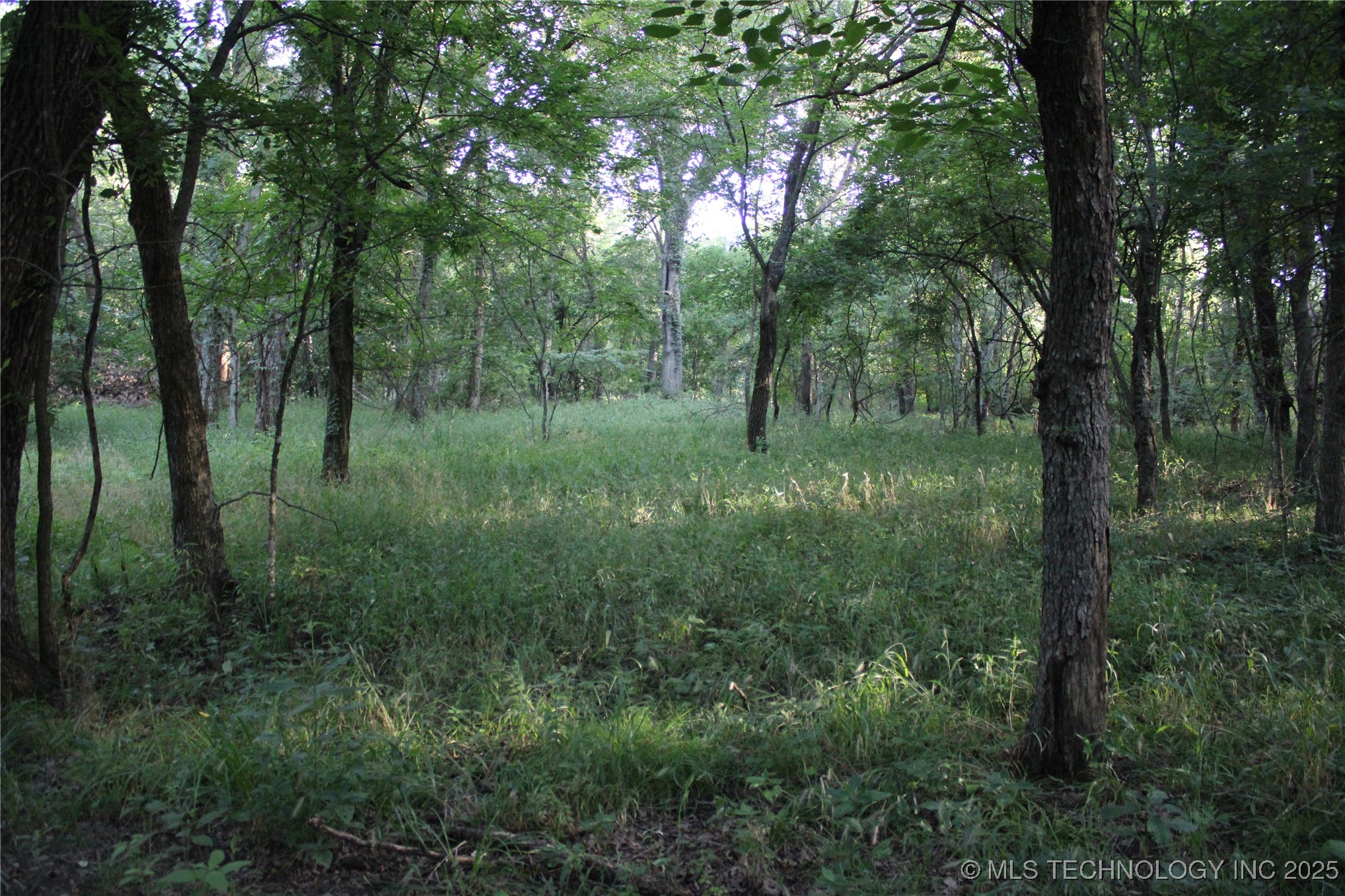 20750 Ns 410 Road Property Photo 71