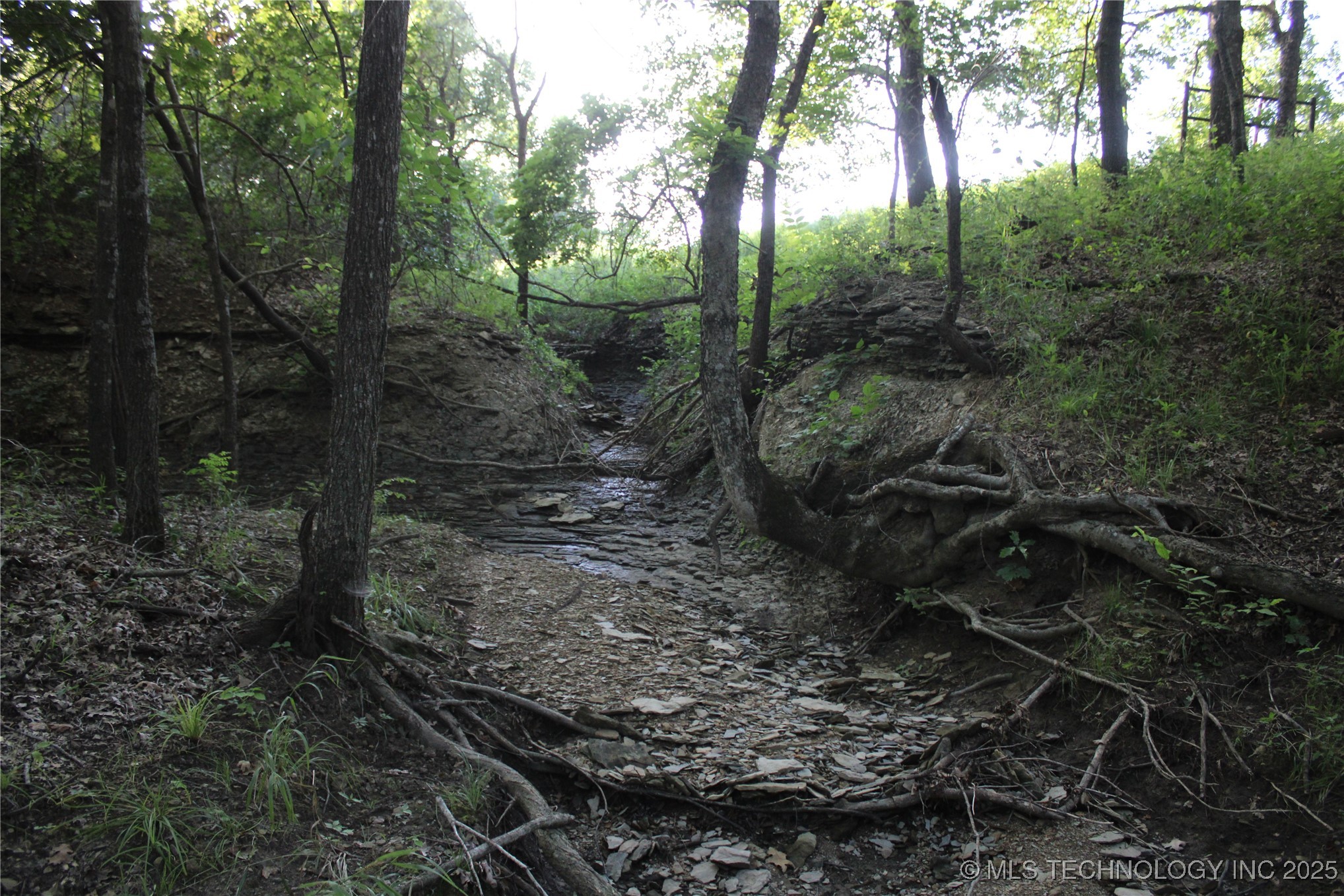 20750 Ns 410 Road Property Photo 73