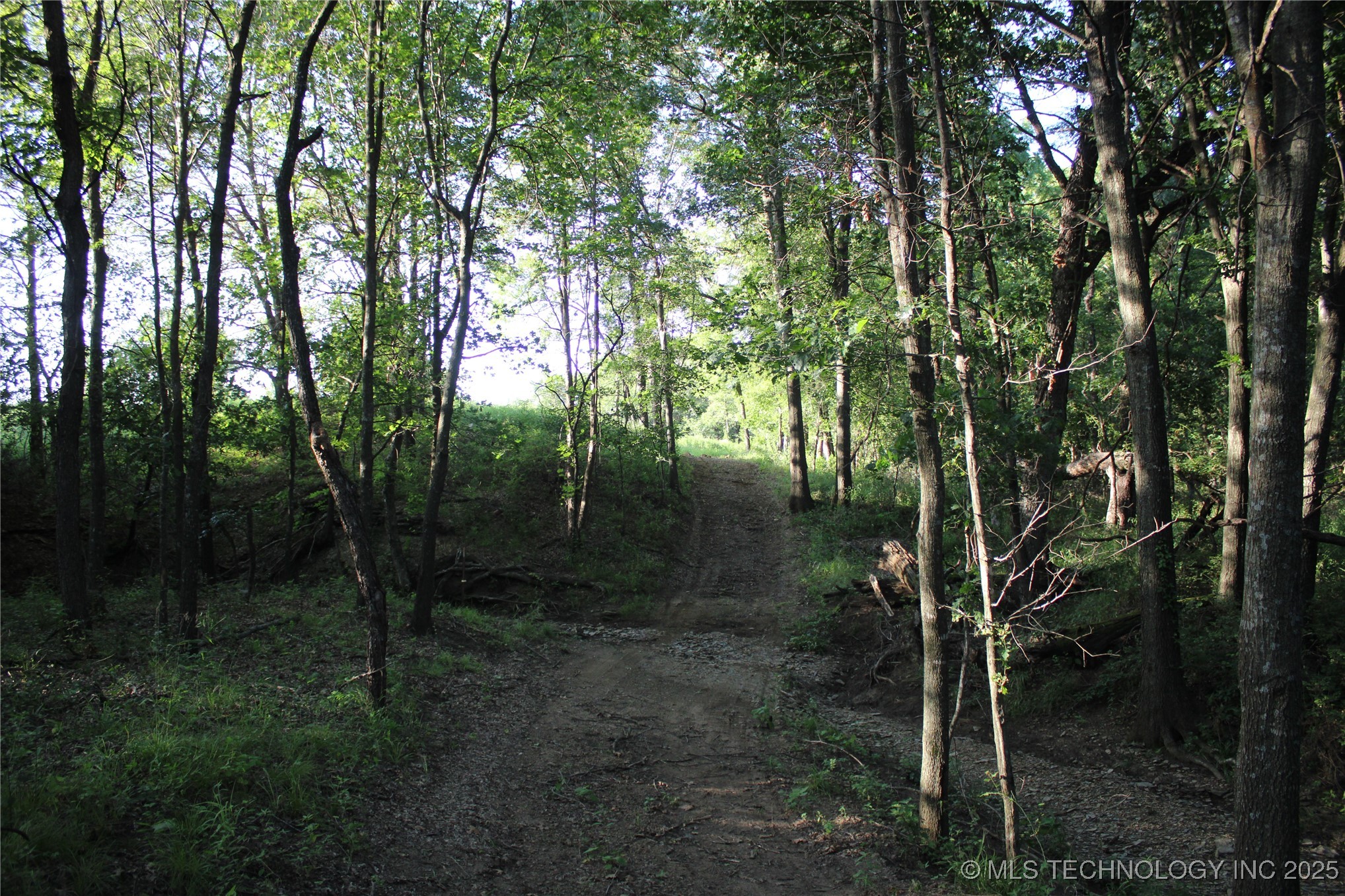 20750 Ns 410 Road Property Photo 74