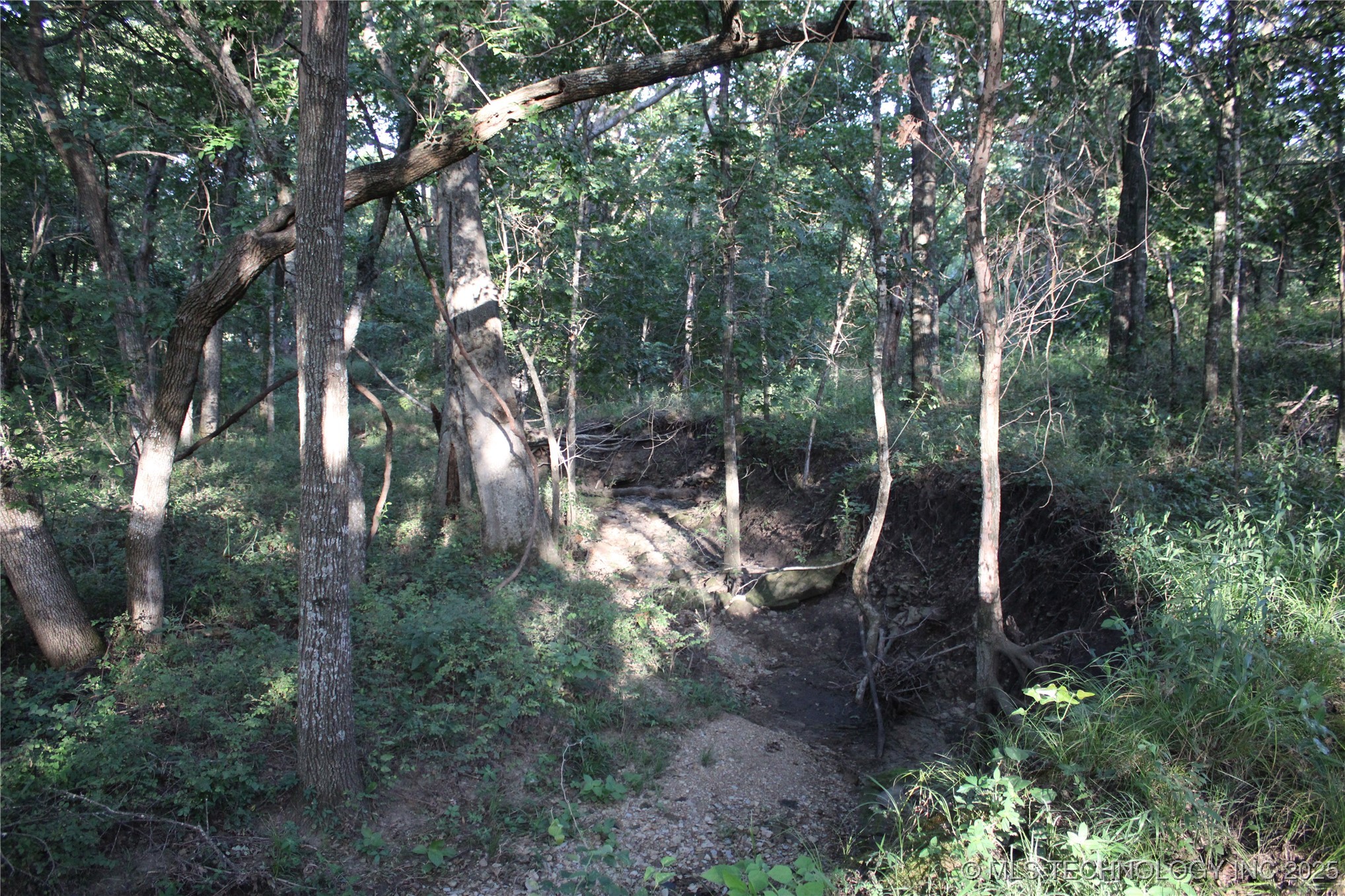 20750 Ns 410 Road Property Photo 75