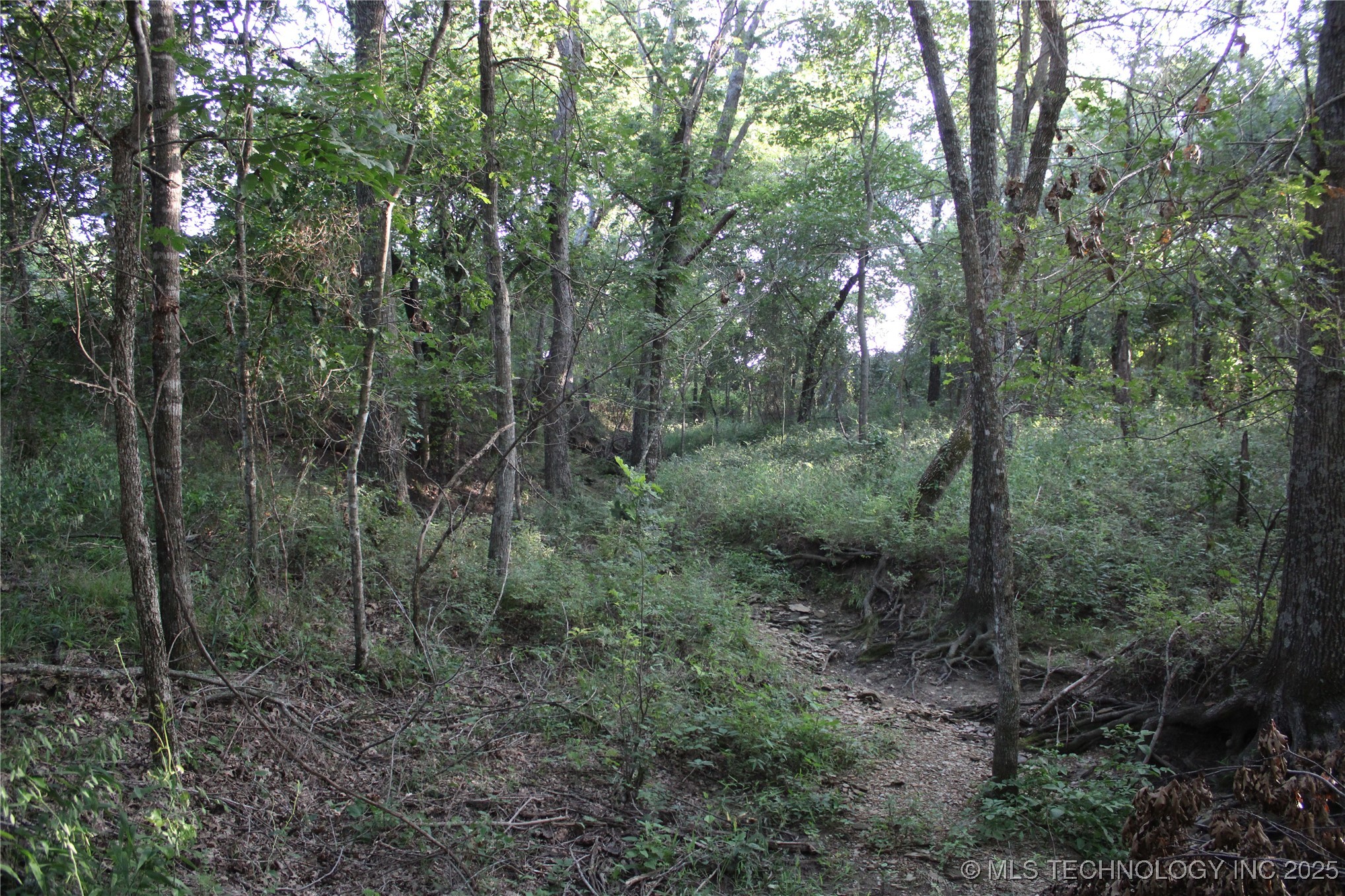 20750 Ns 410 Road Property Photo 76