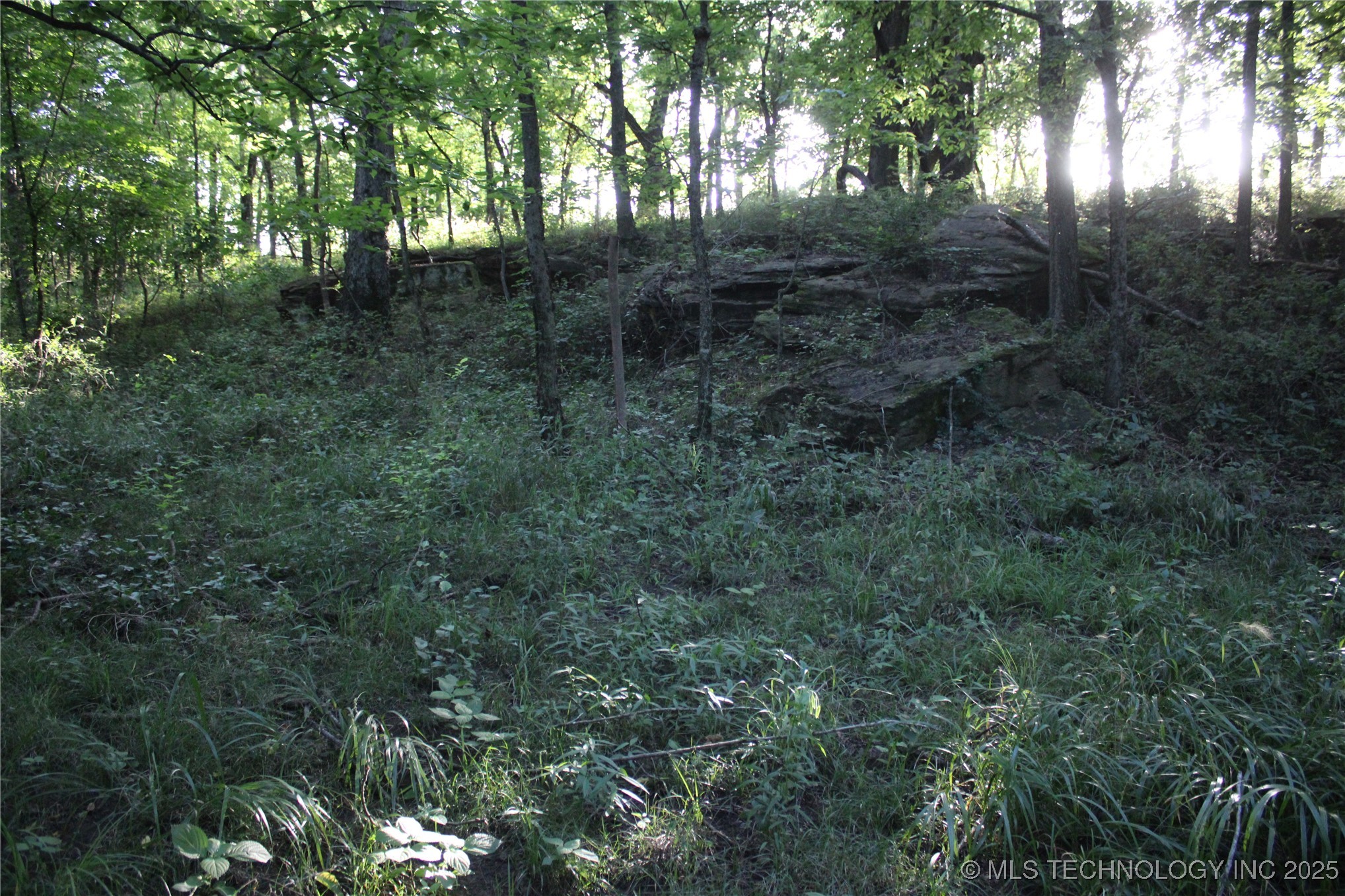 20750 Ns 410 Road Property Photo 77