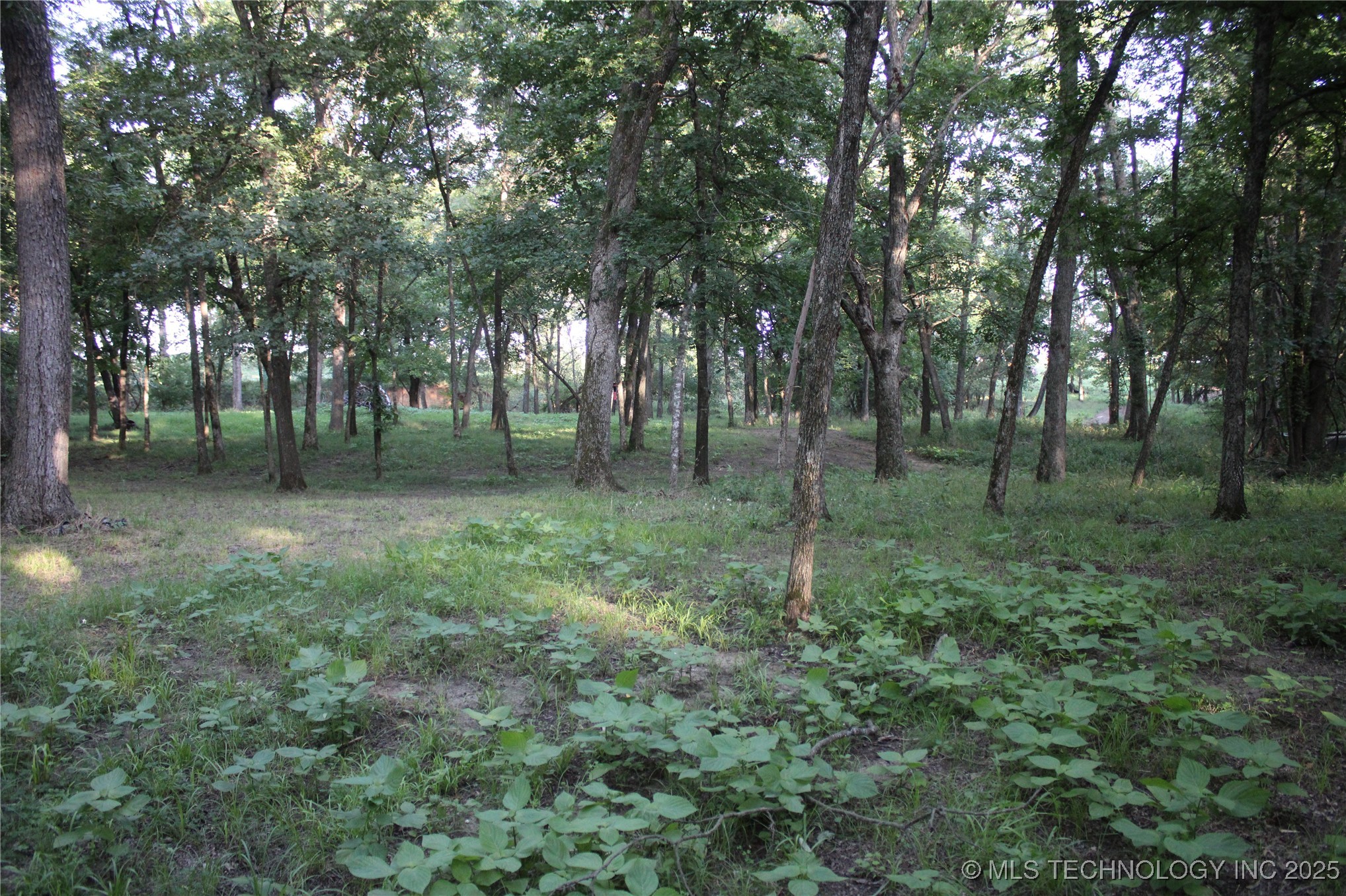 20750 Ns 410 Road Property Photo 78