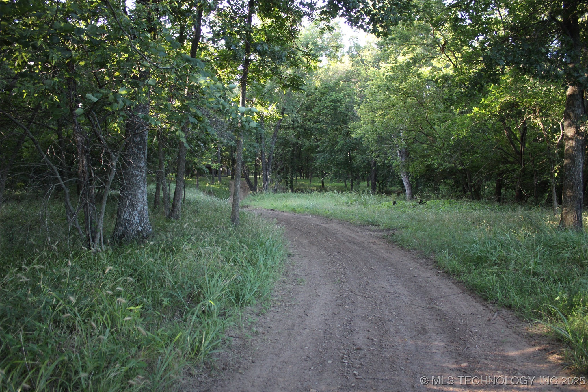 20750 Ns 410 Road Property Photo 85