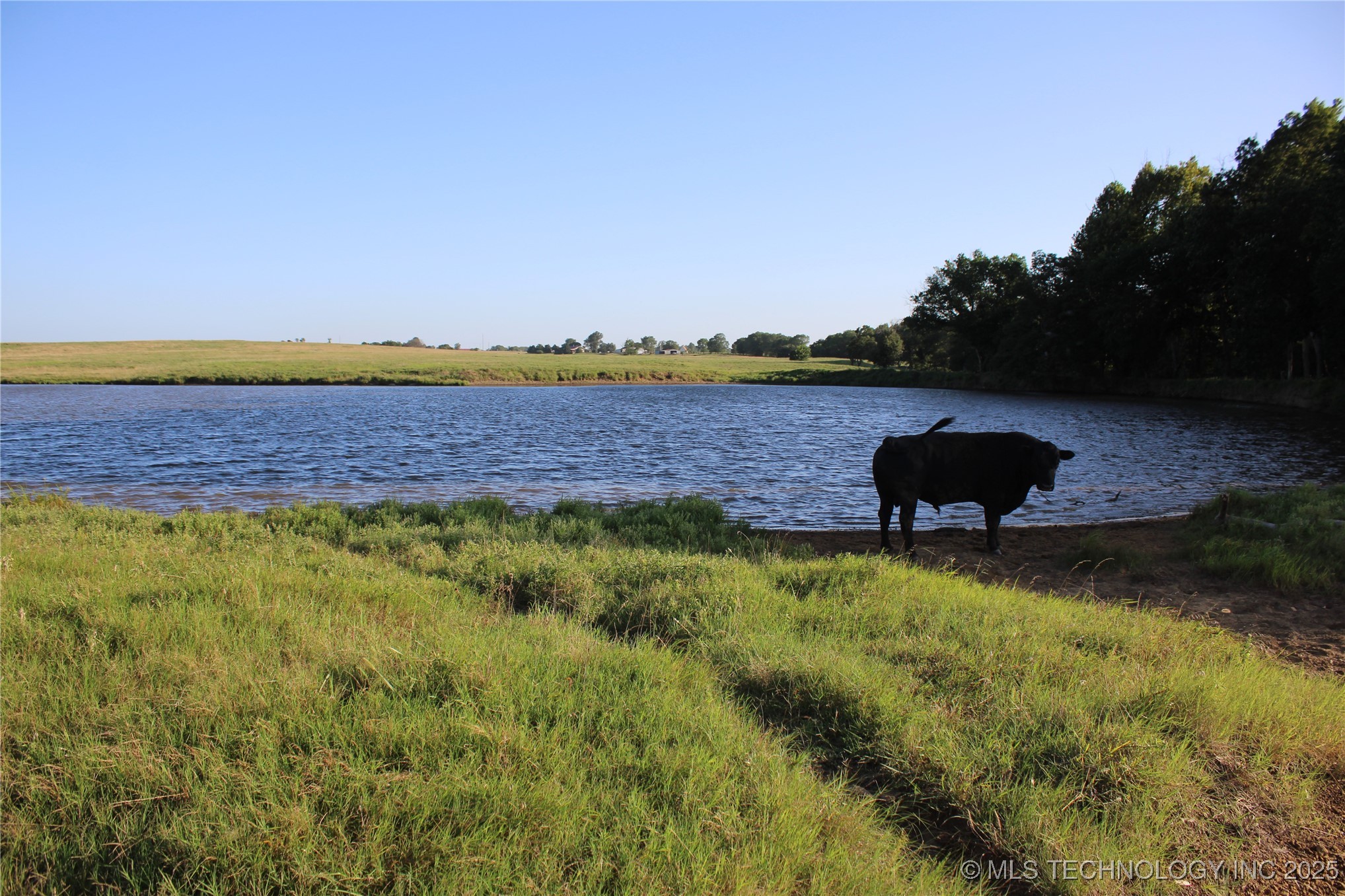 20750 Ns 410 Road Property Photo 86