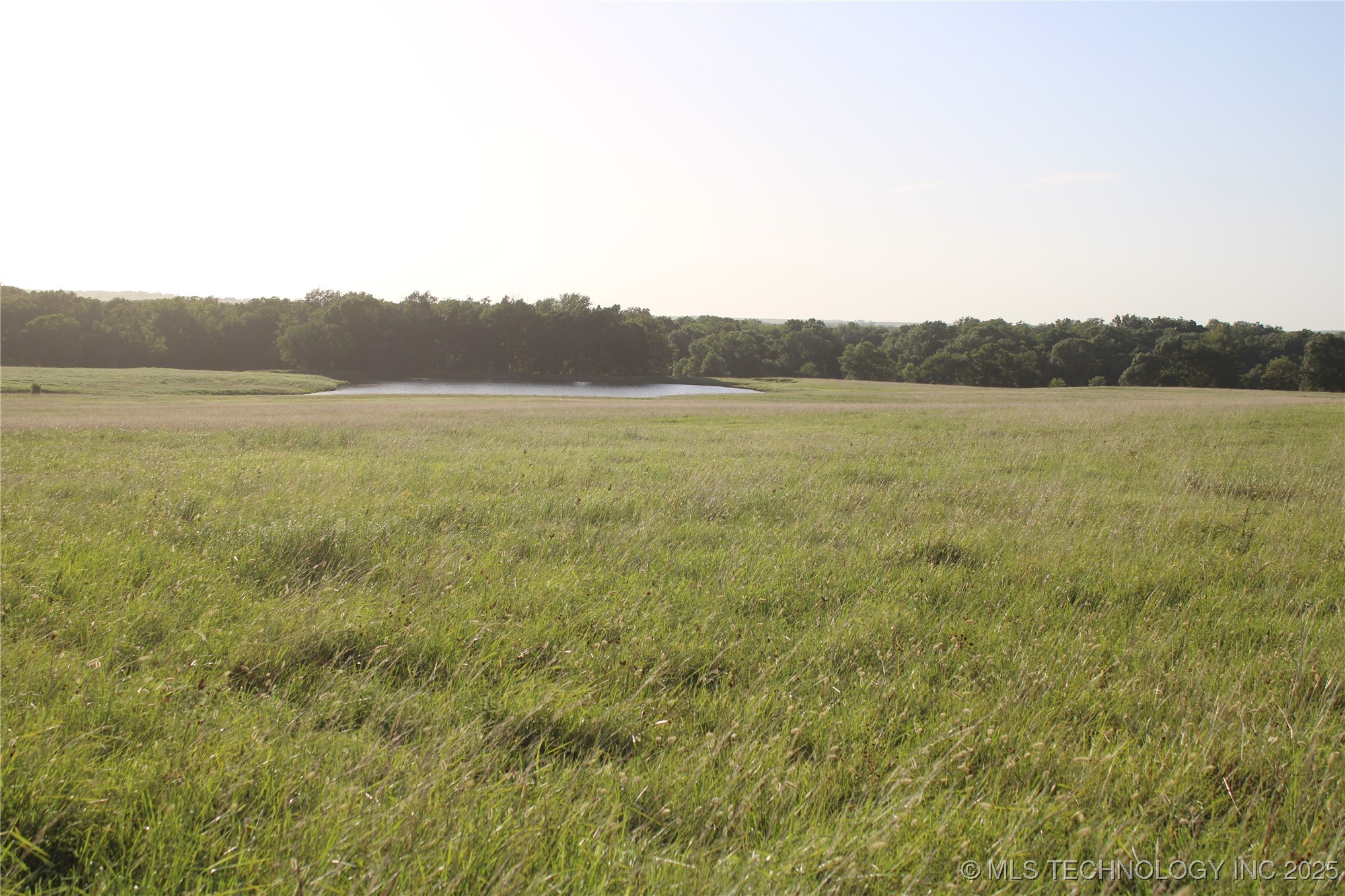 20750 Ns 410 Road Property Photo 94