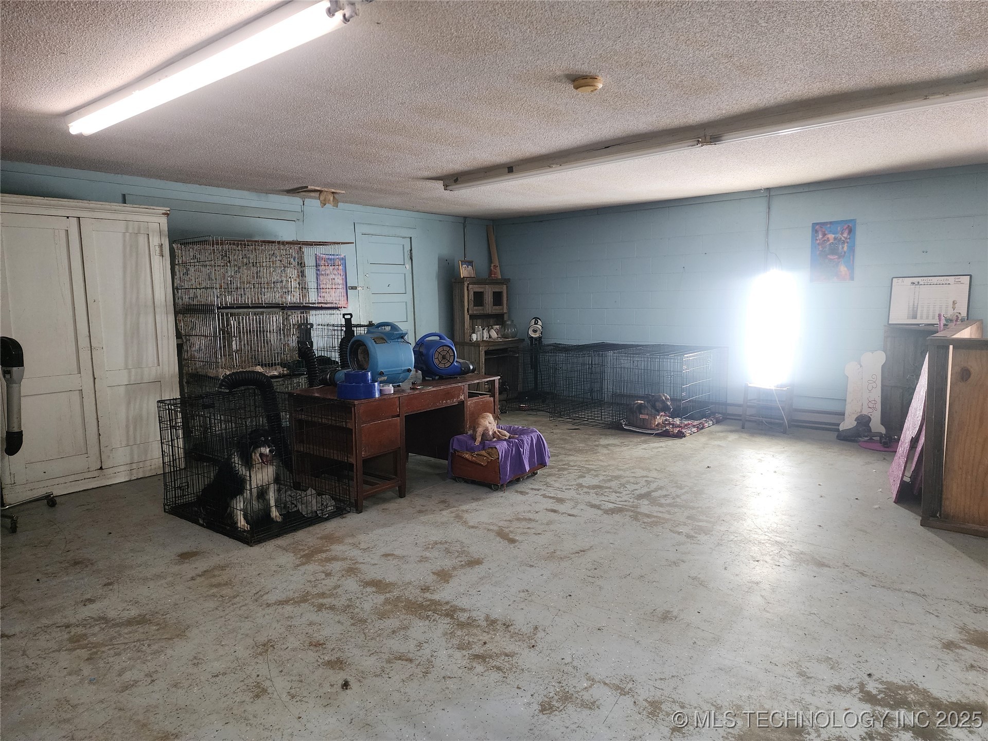 1005 Dallas Street Property Photo 12