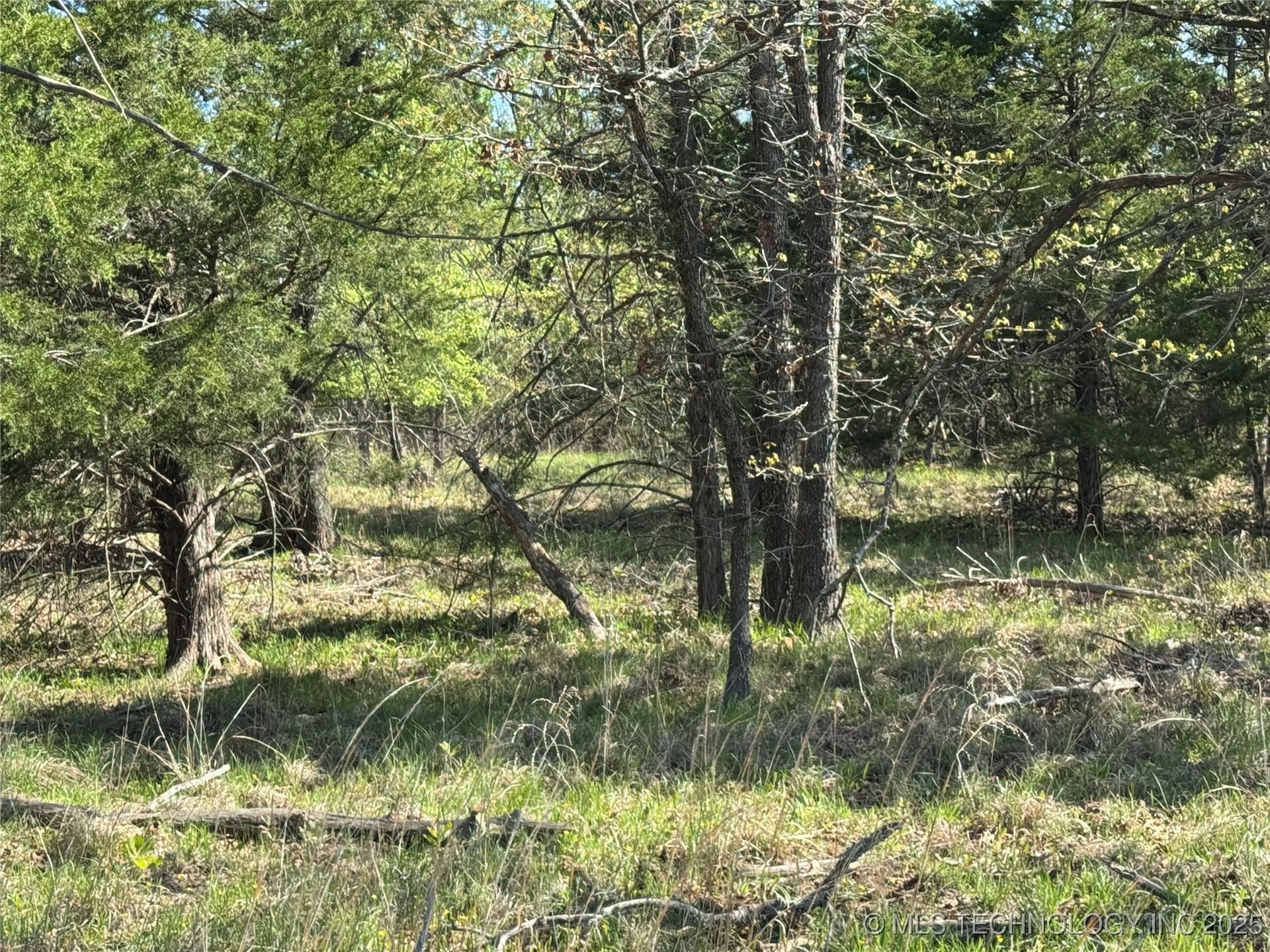 11 E Blue Creek Road Property Photo 5