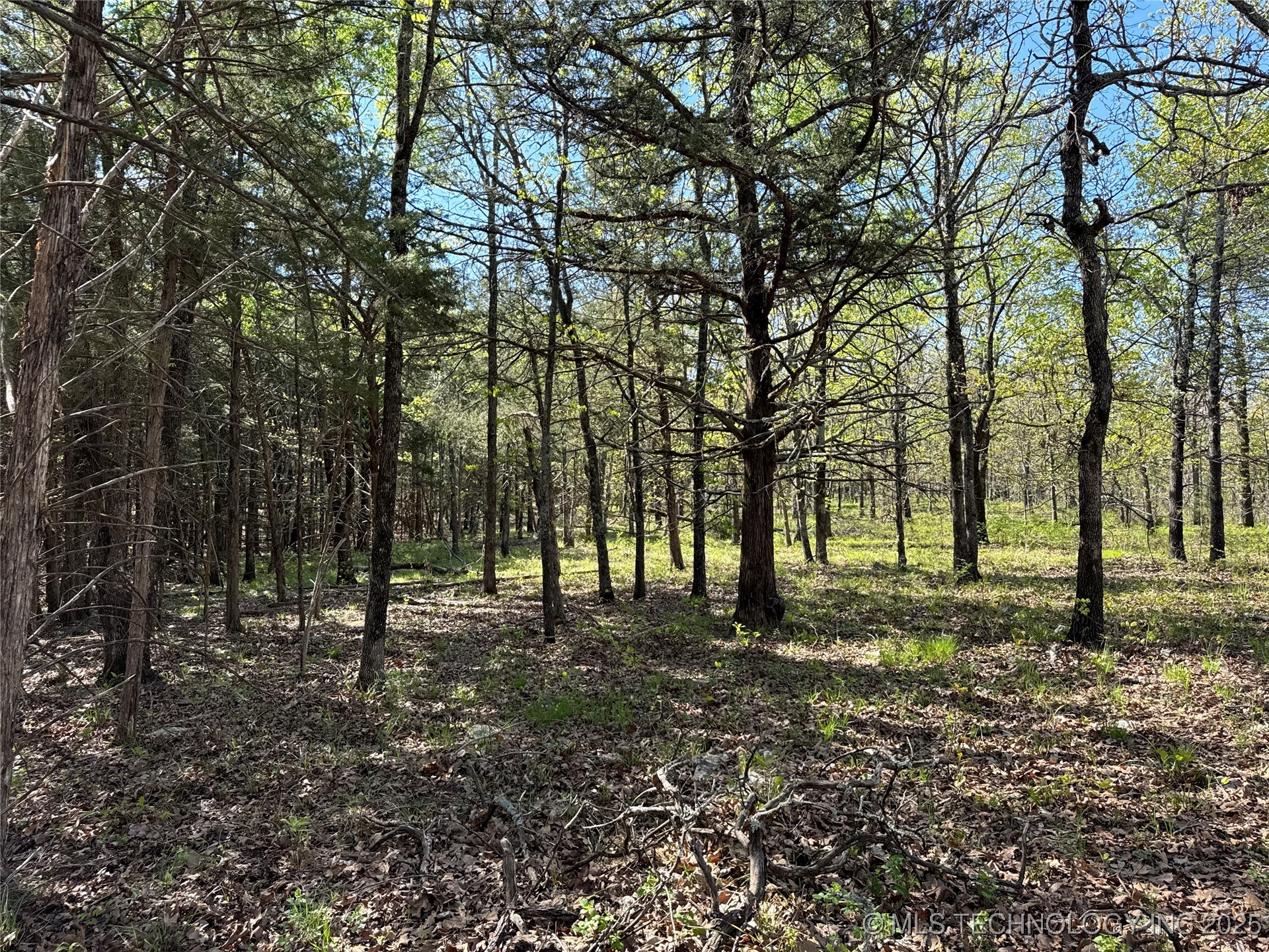 11 E Blue Creek Road Property Photo 6