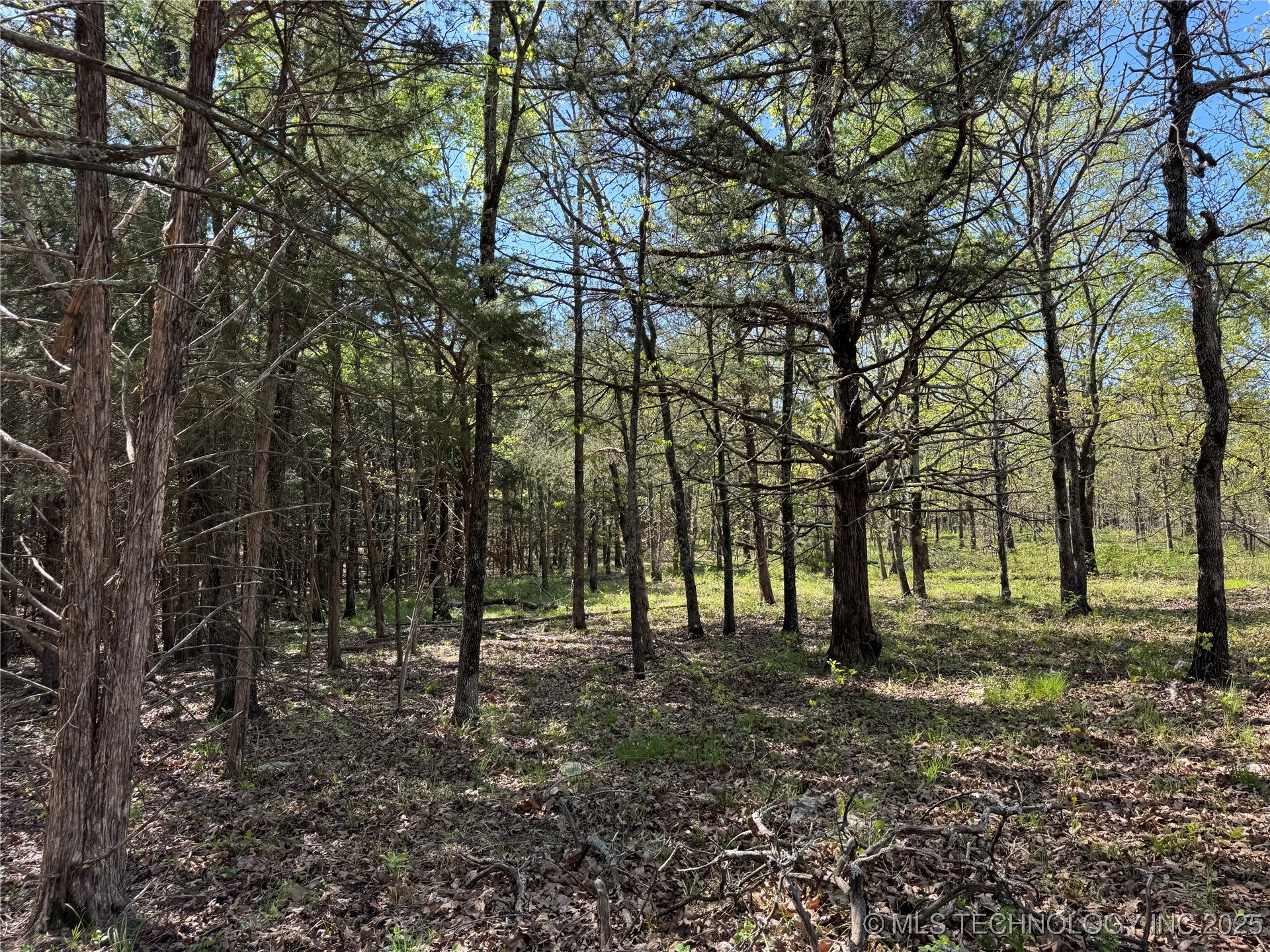 11 E Blue Creek Road Property Photo 7