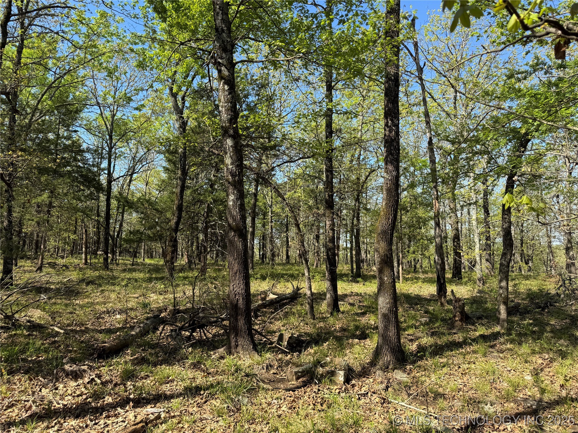 11 E Blue Creek Road Property Photo 8