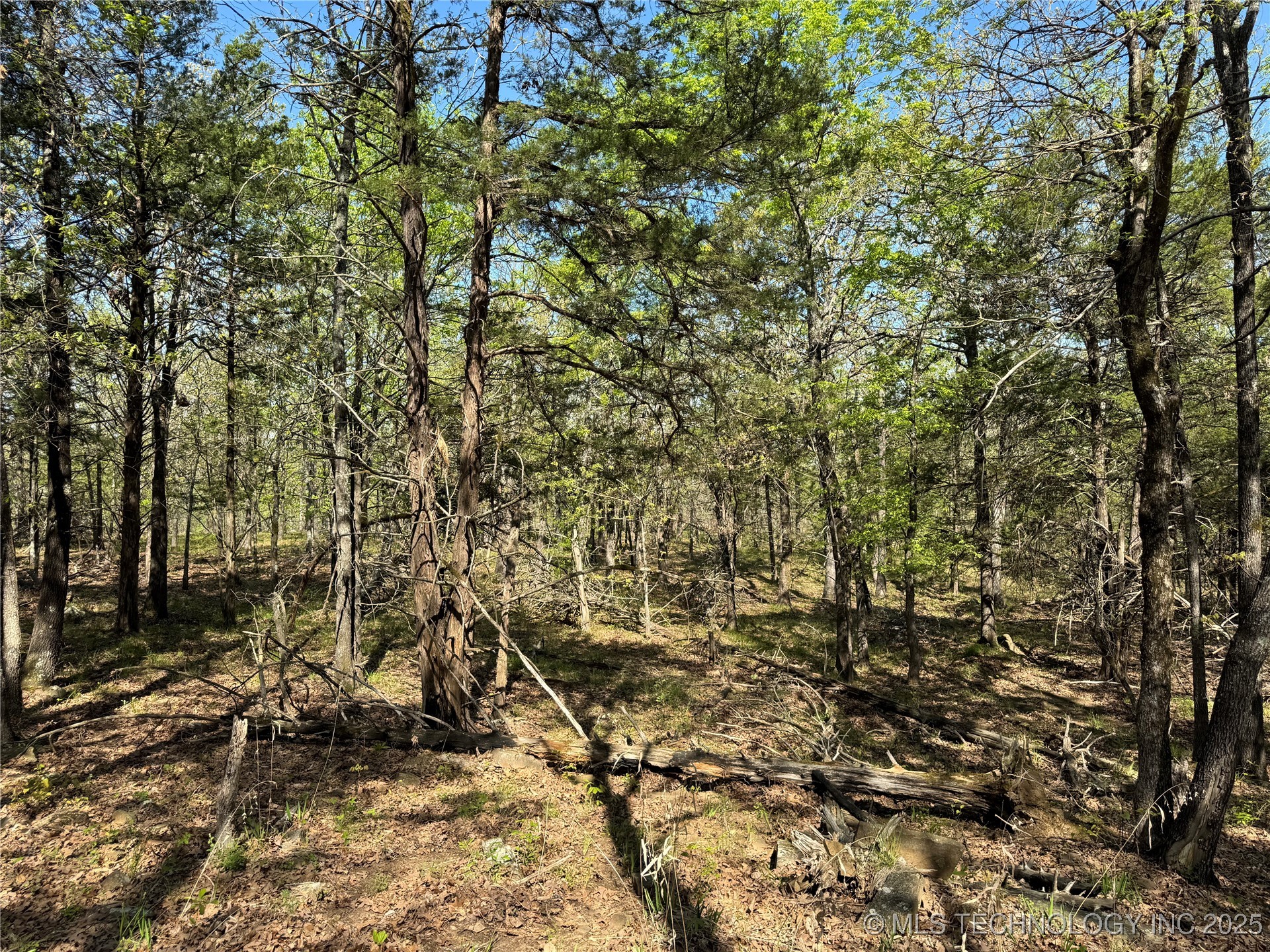 11 E Blue Creek Road Property Photo 9