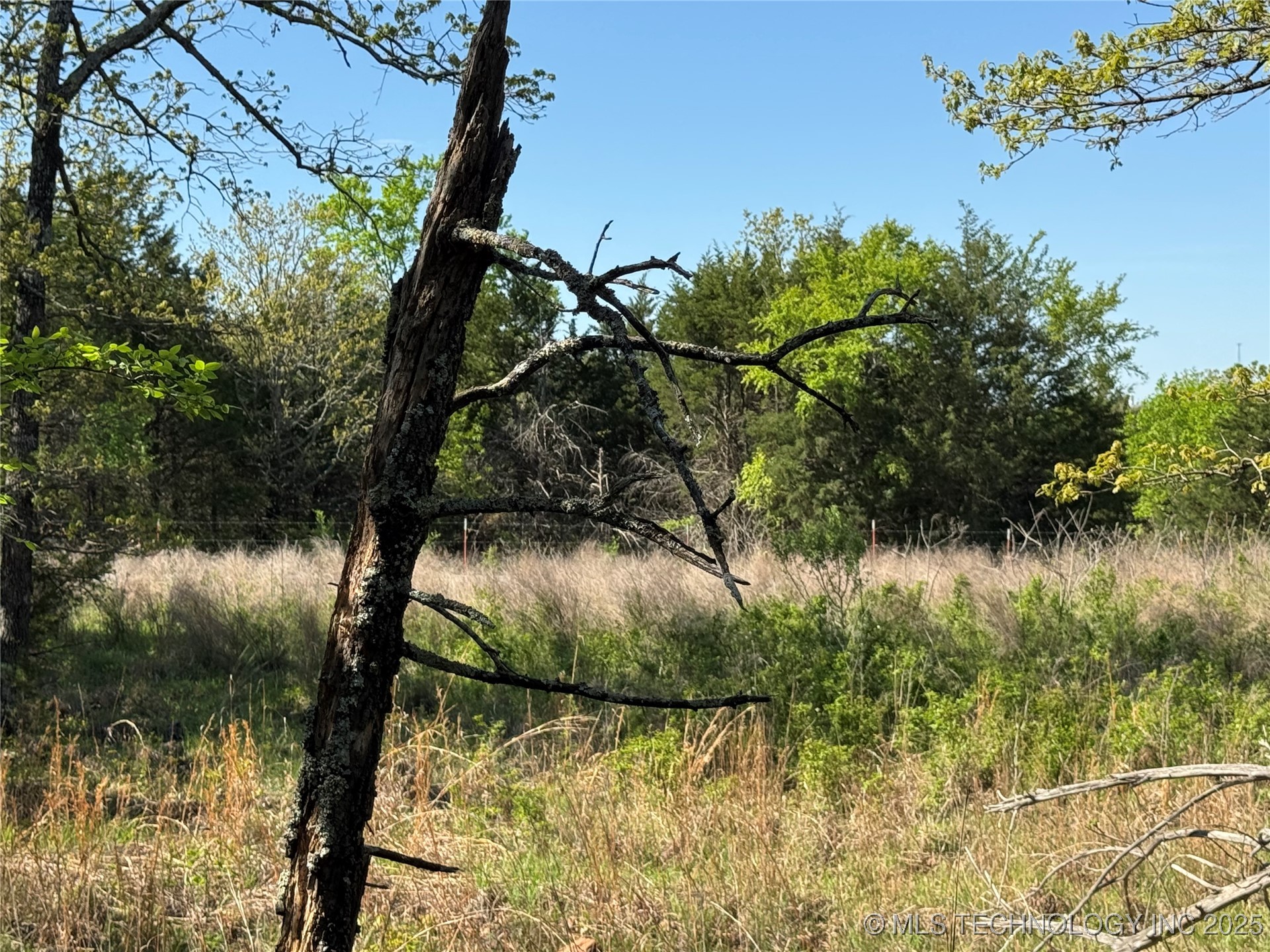 11 E Blue Creek Road Property Photo 10