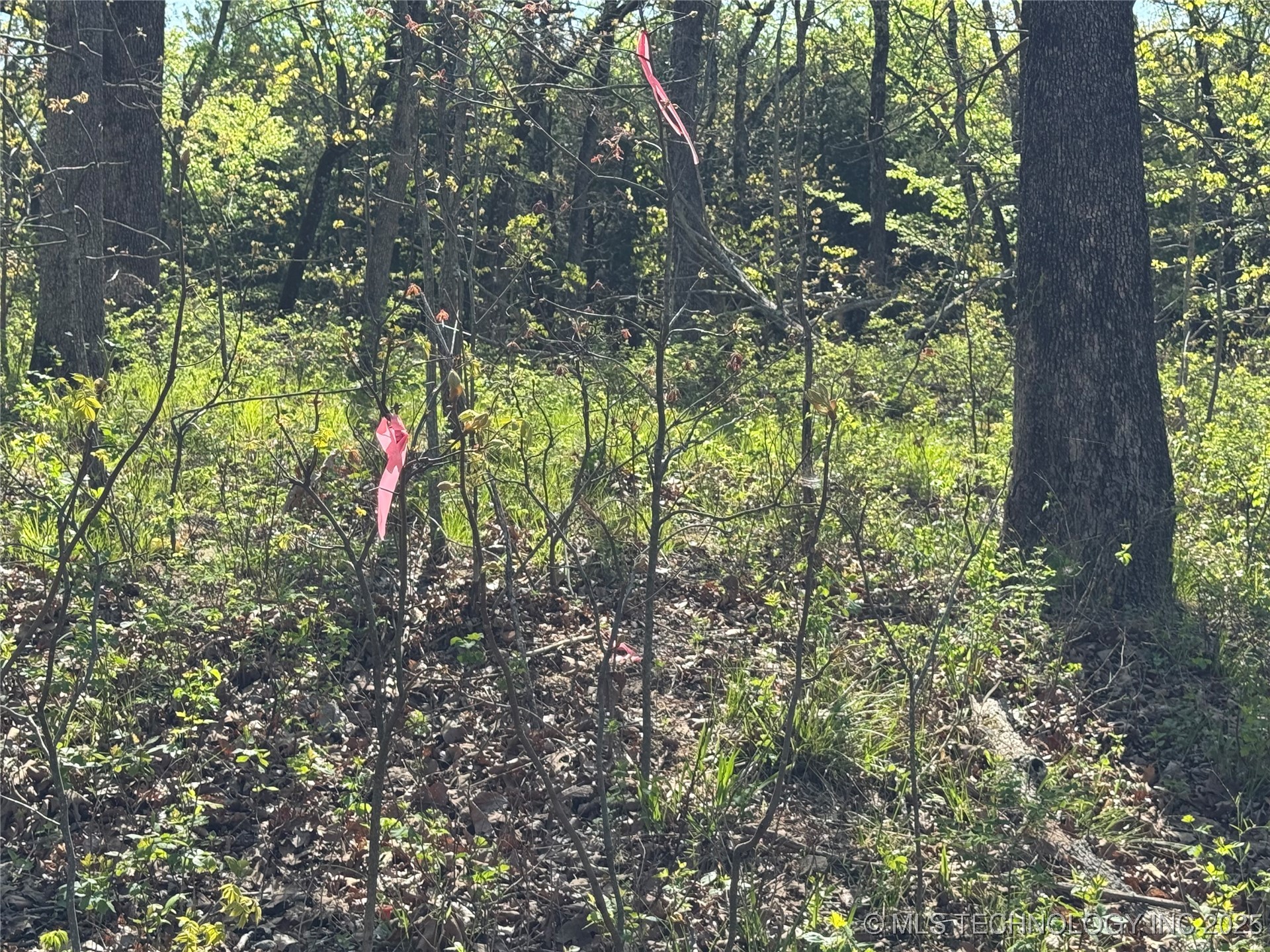 11 E Blue Creek Road Property Photo 11