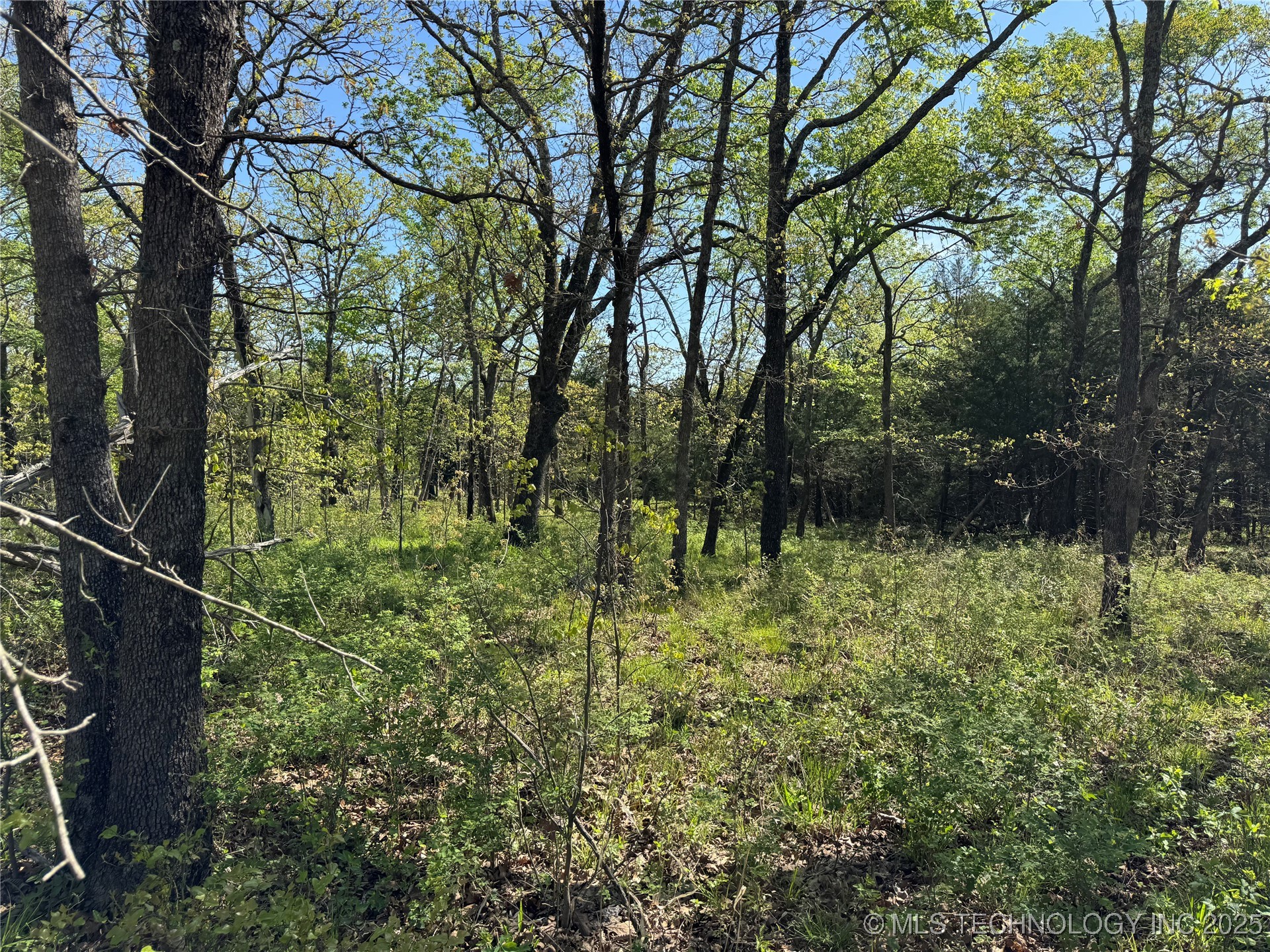 11 E Blue Creek Road Property Photo 12