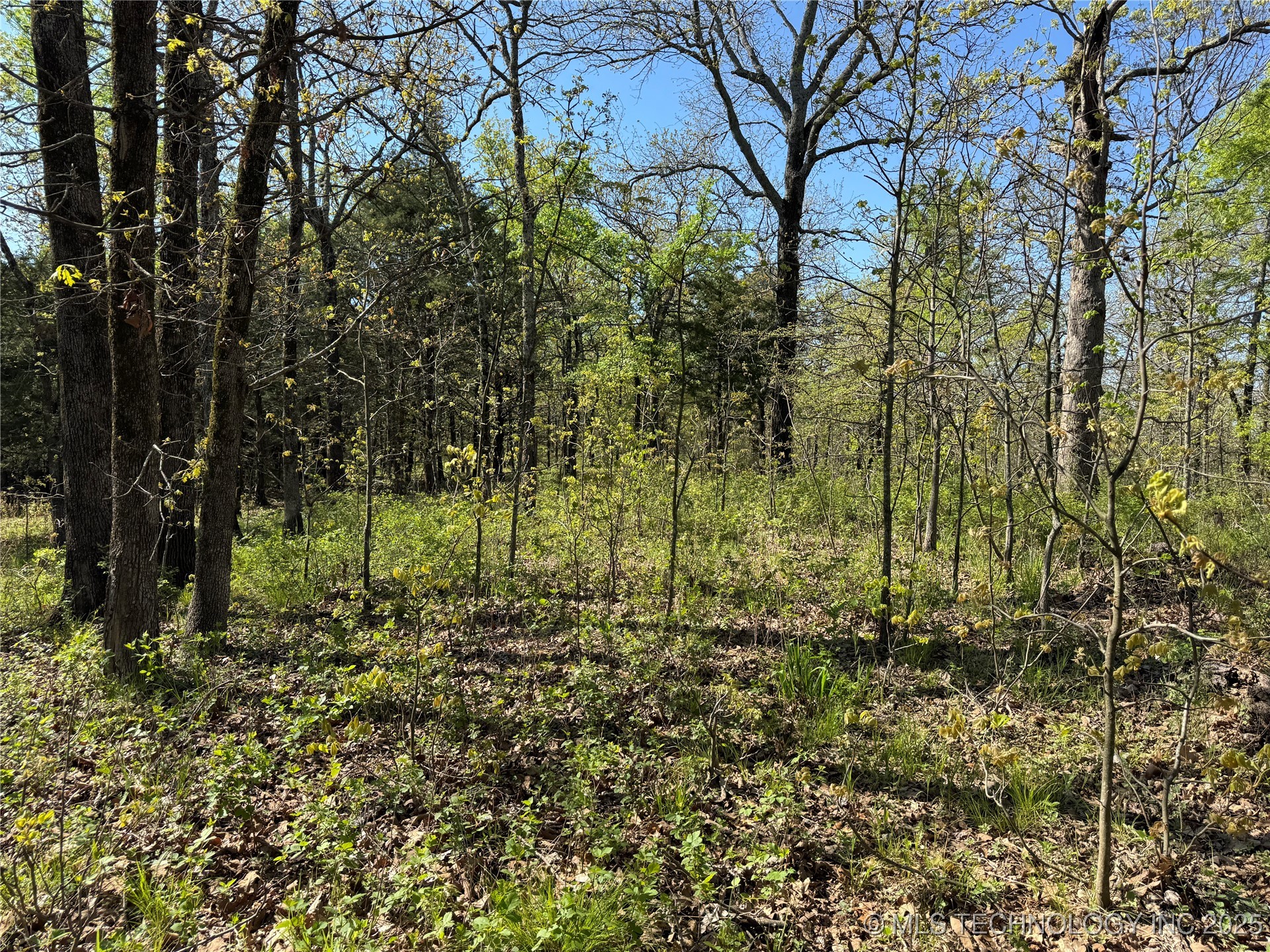 11 E Blue Creek Road Property Photo 13