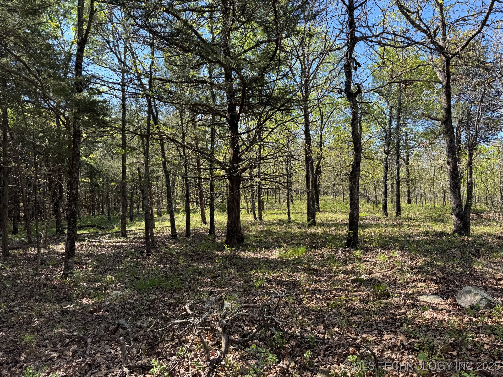 11 E Blue Creek Road Property Photo 14