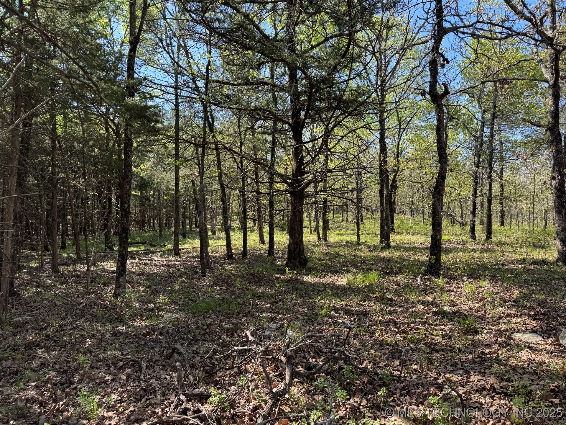 11 E Blue Creek Road Property Photo 15