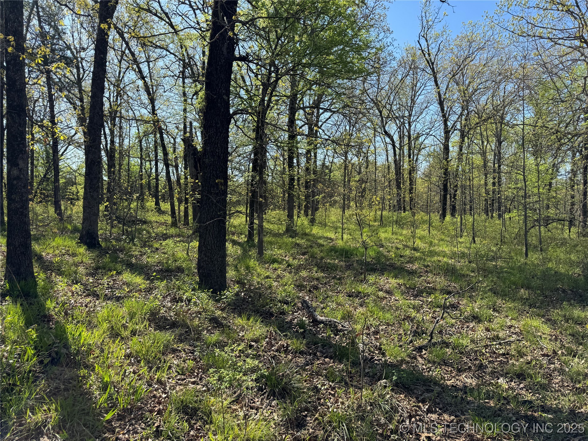 11 E Blue Creek Road Property Photo 16