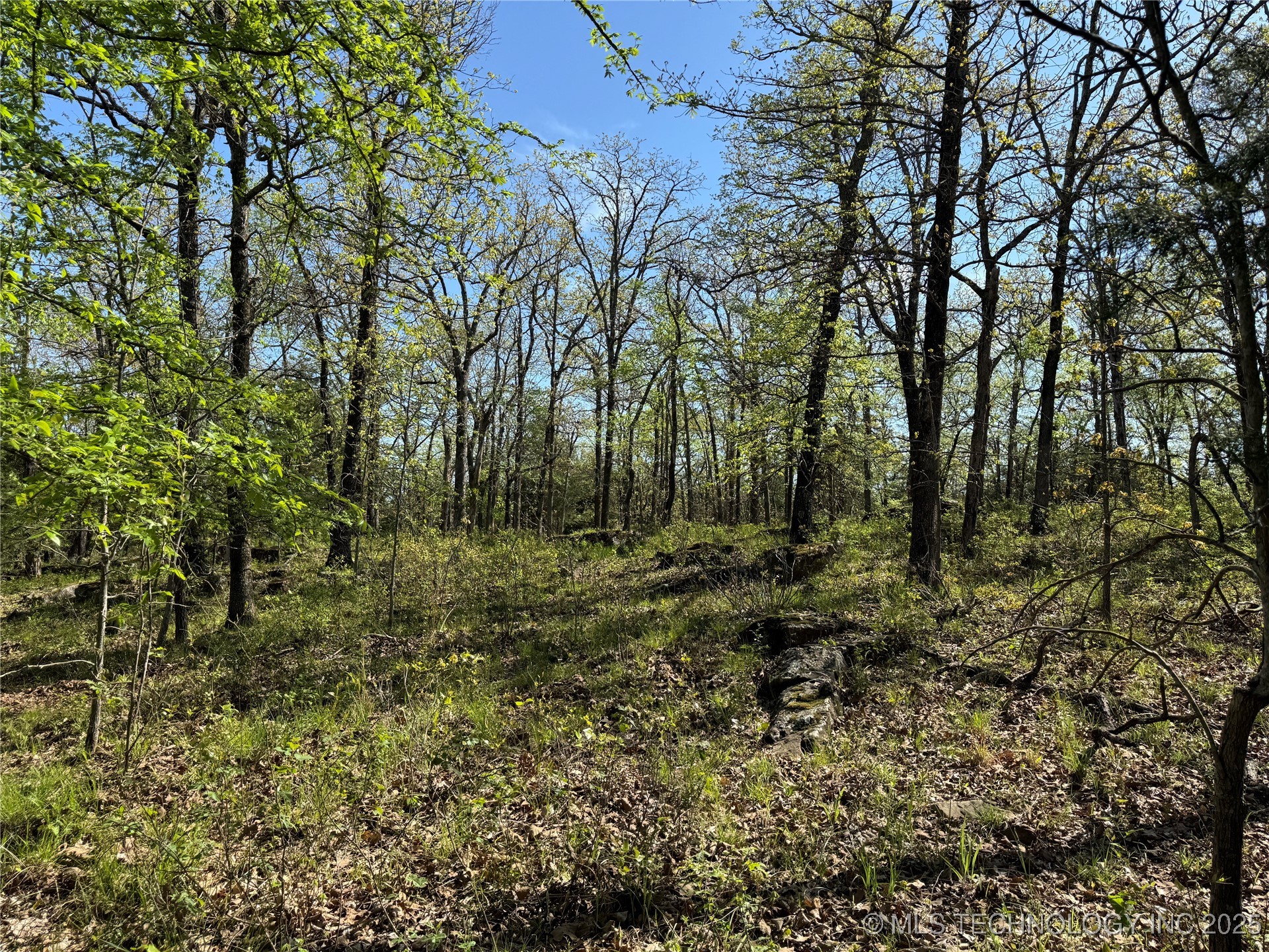 11 E Blue Creek Road Property Photo 17