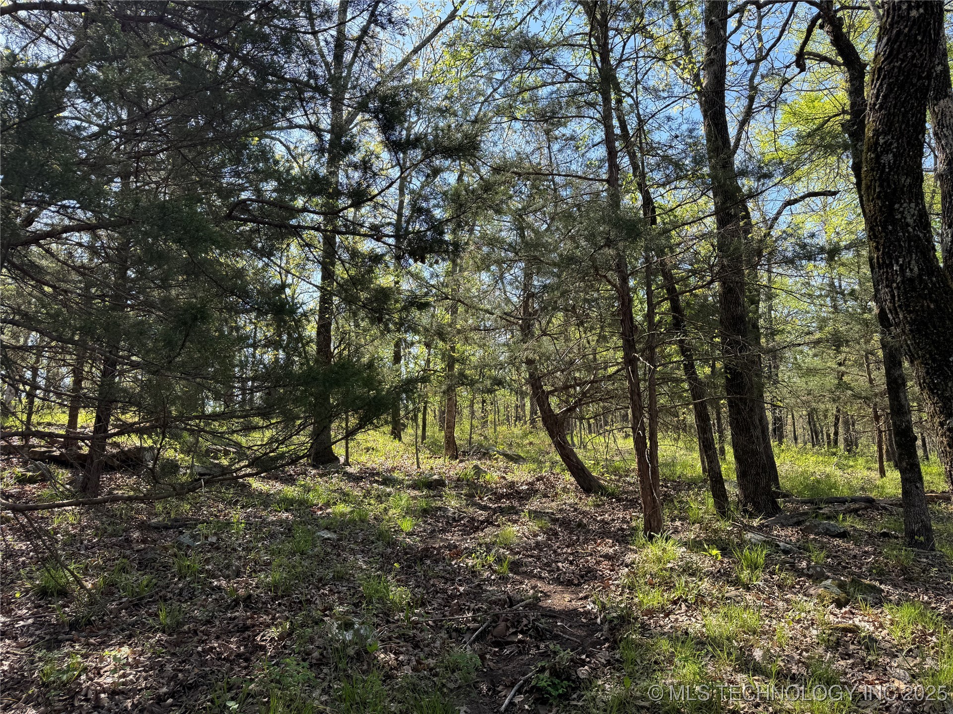 11 E Blue Creek Road Property Photo 18