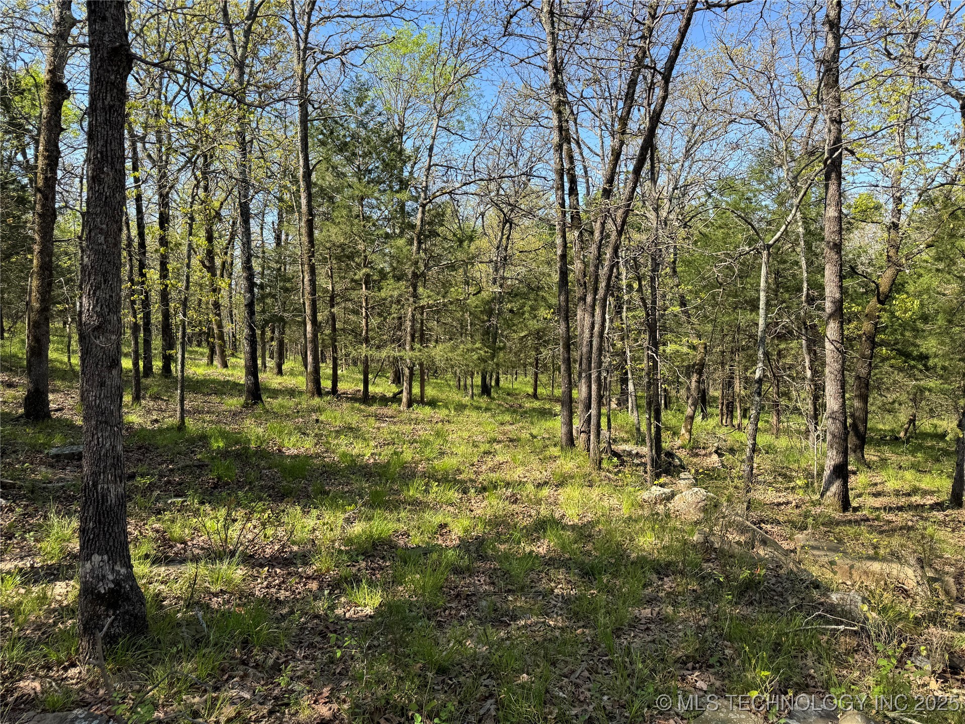 11 E Blue Creek Road Property Photo 19