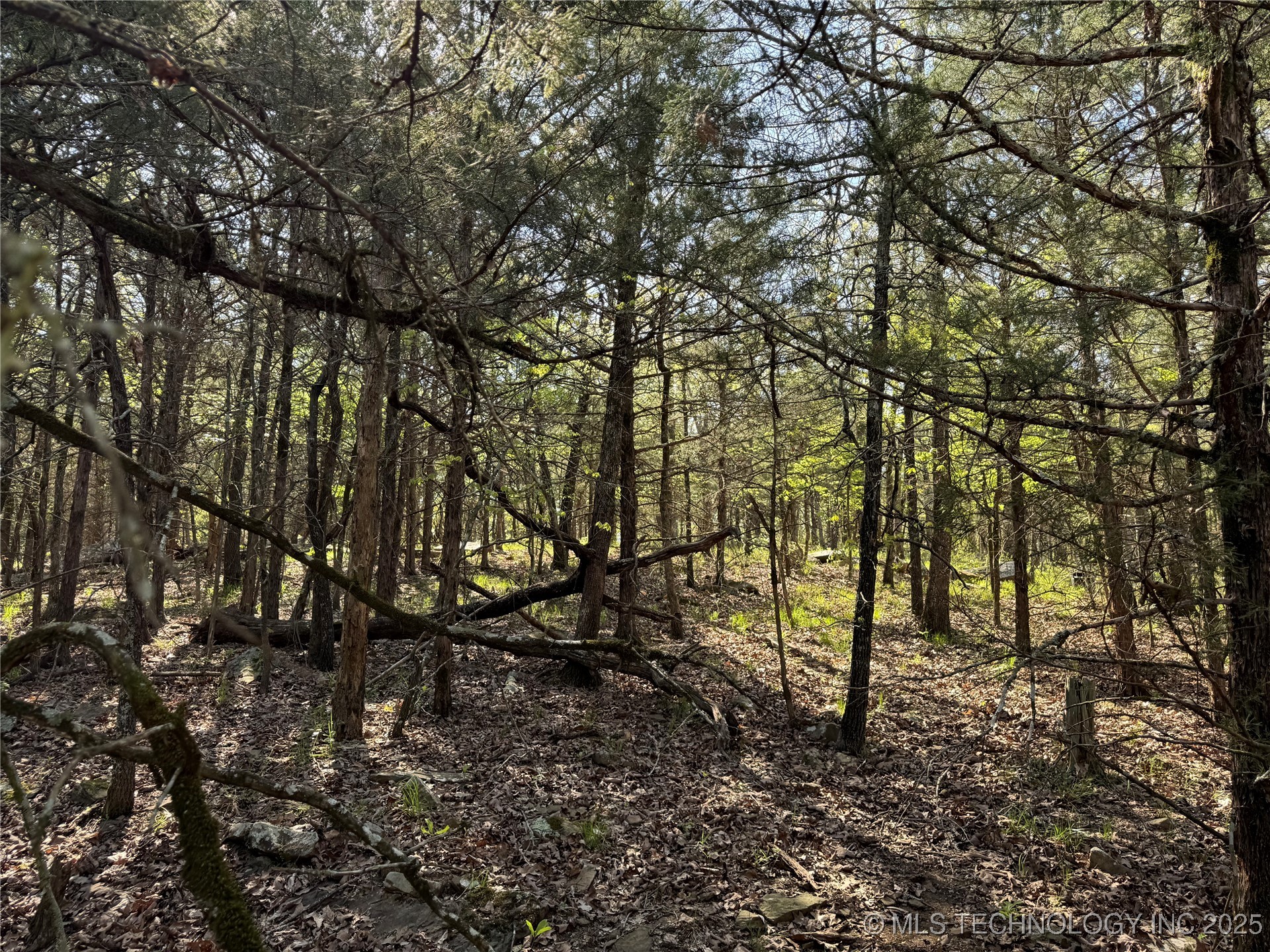 11 E Blue Creek Road Property Photo 20