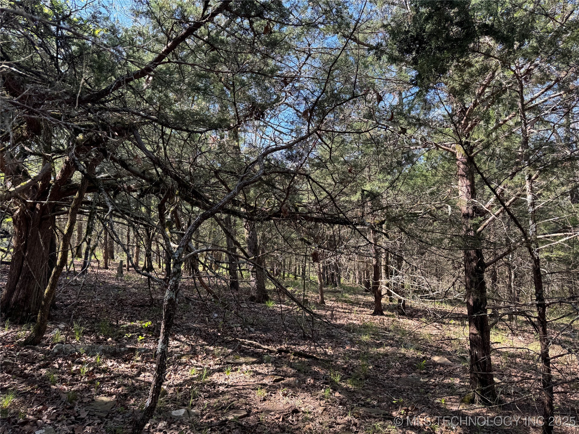 11 E Blue Creek Road Property Photo 21