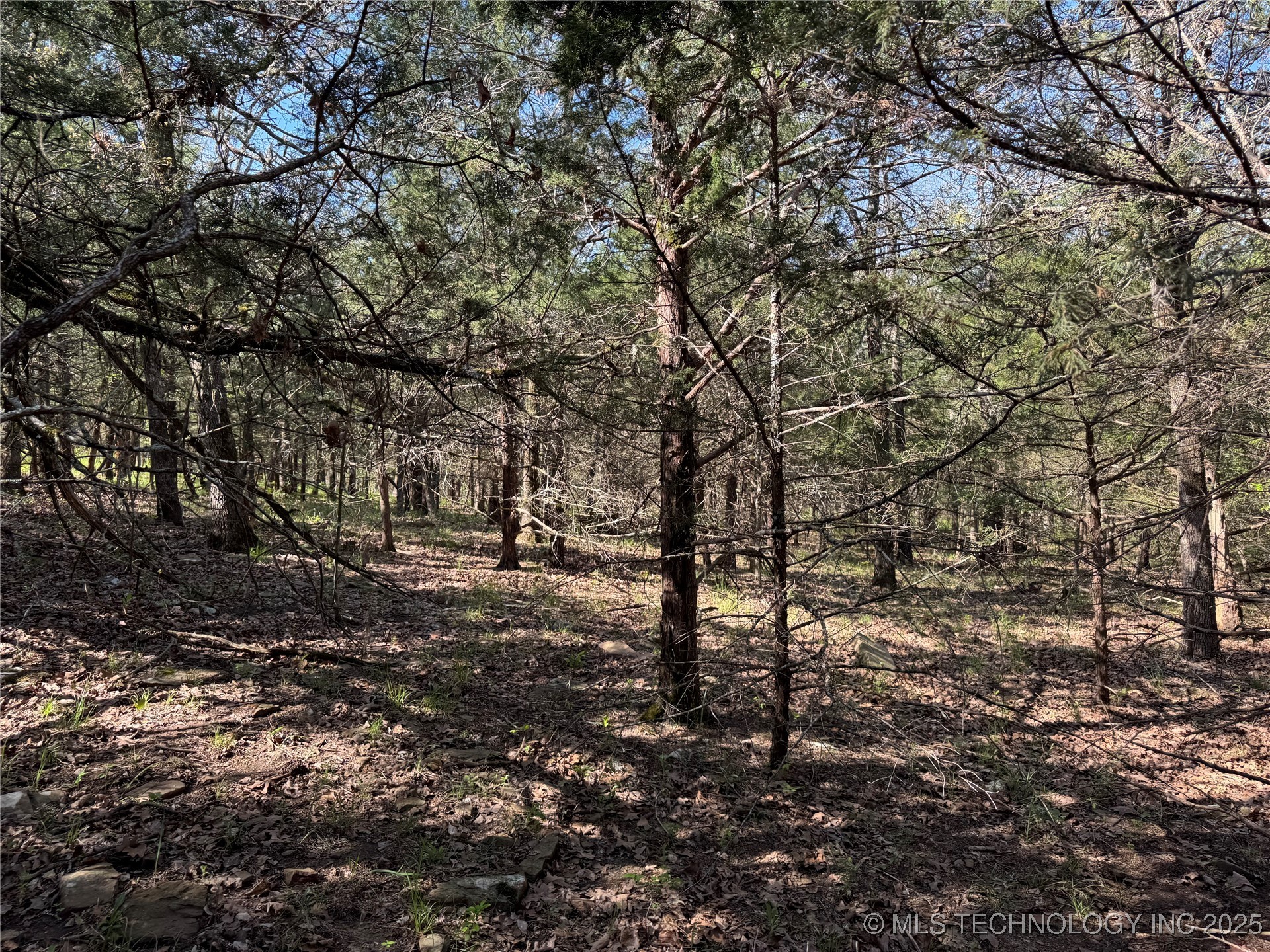 11 E Blue Creek Road Property Photo 22