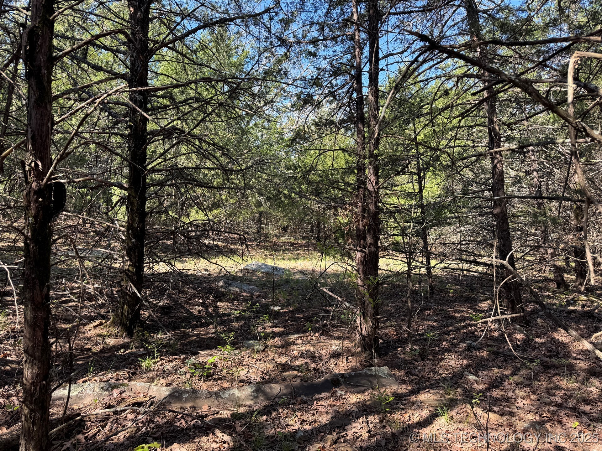 11 E Blue Creek Road Property Photo 23