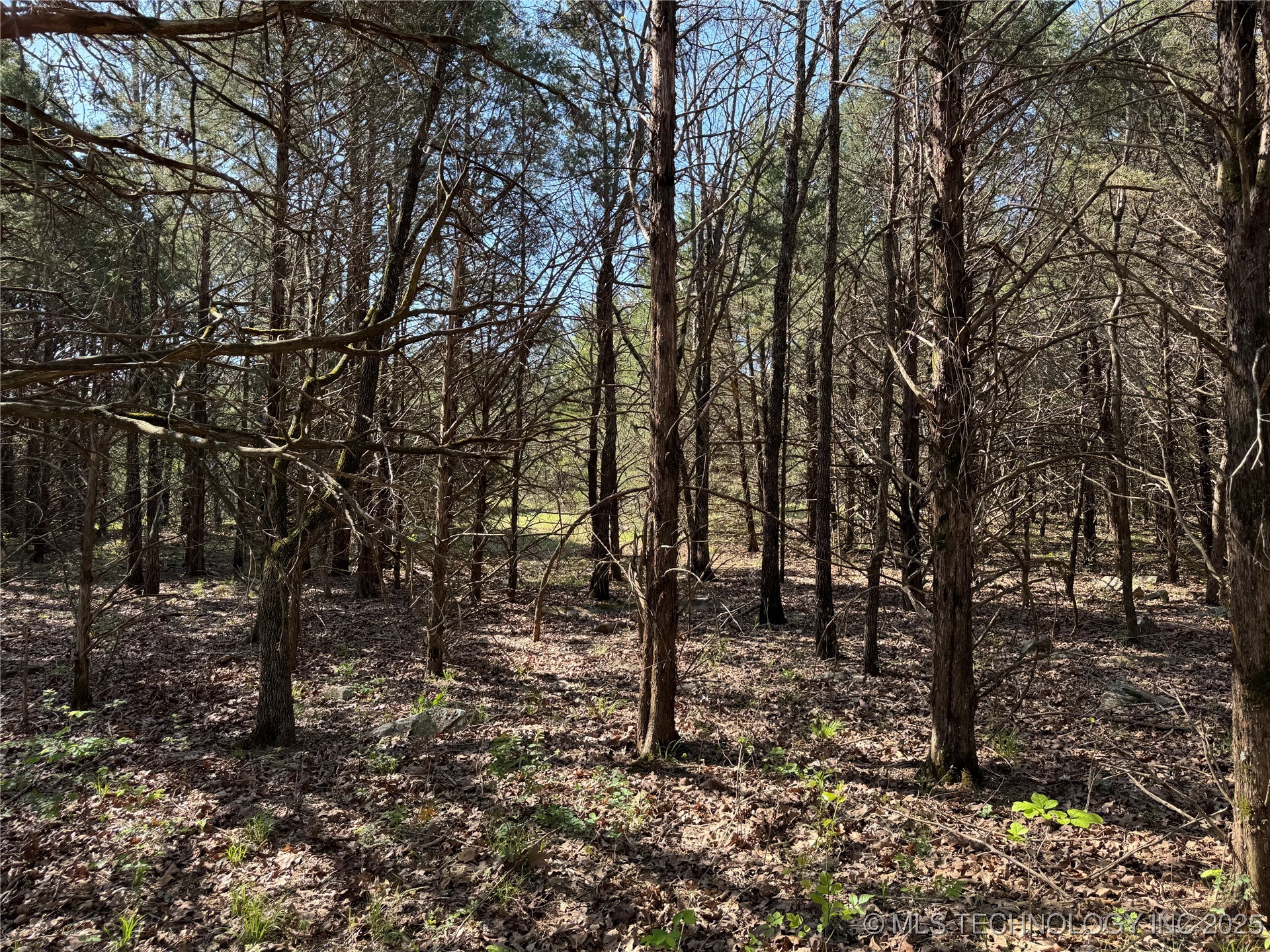 11 E Blue Creek Road Property Photo 25