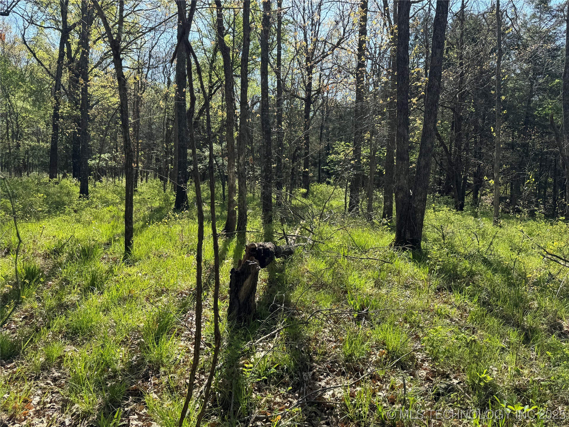 11 E Blue Creek Road Property Photo 27