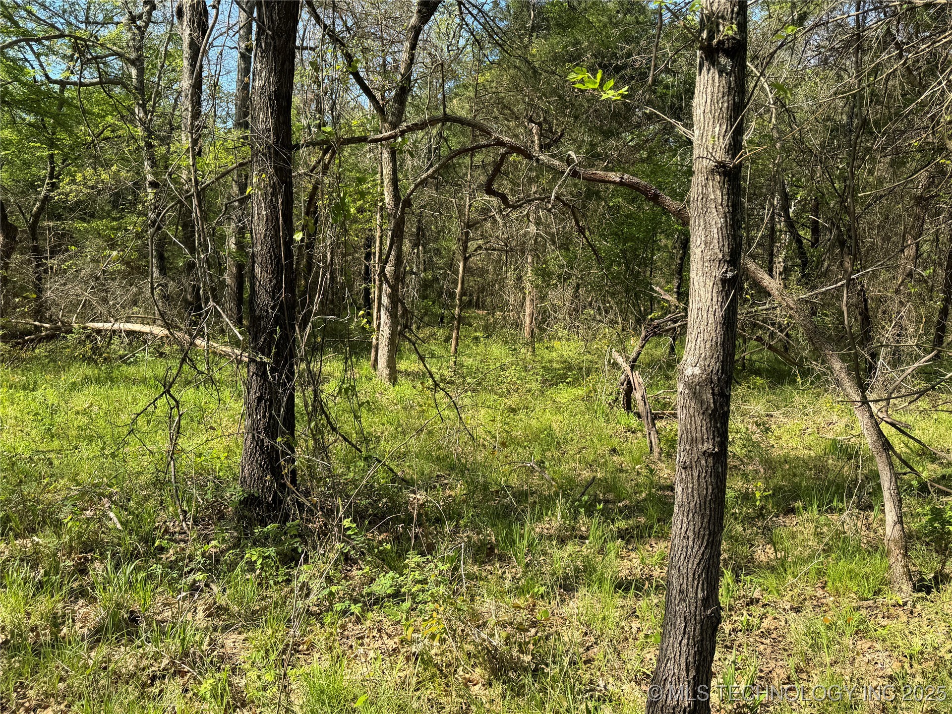 11 E Blue Creek Road Property Photo 28