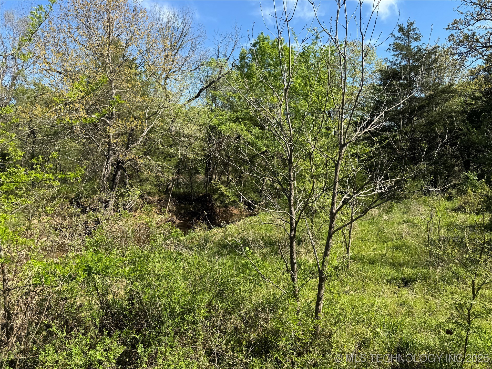 11 E Blue Creek Road Property Photo 29