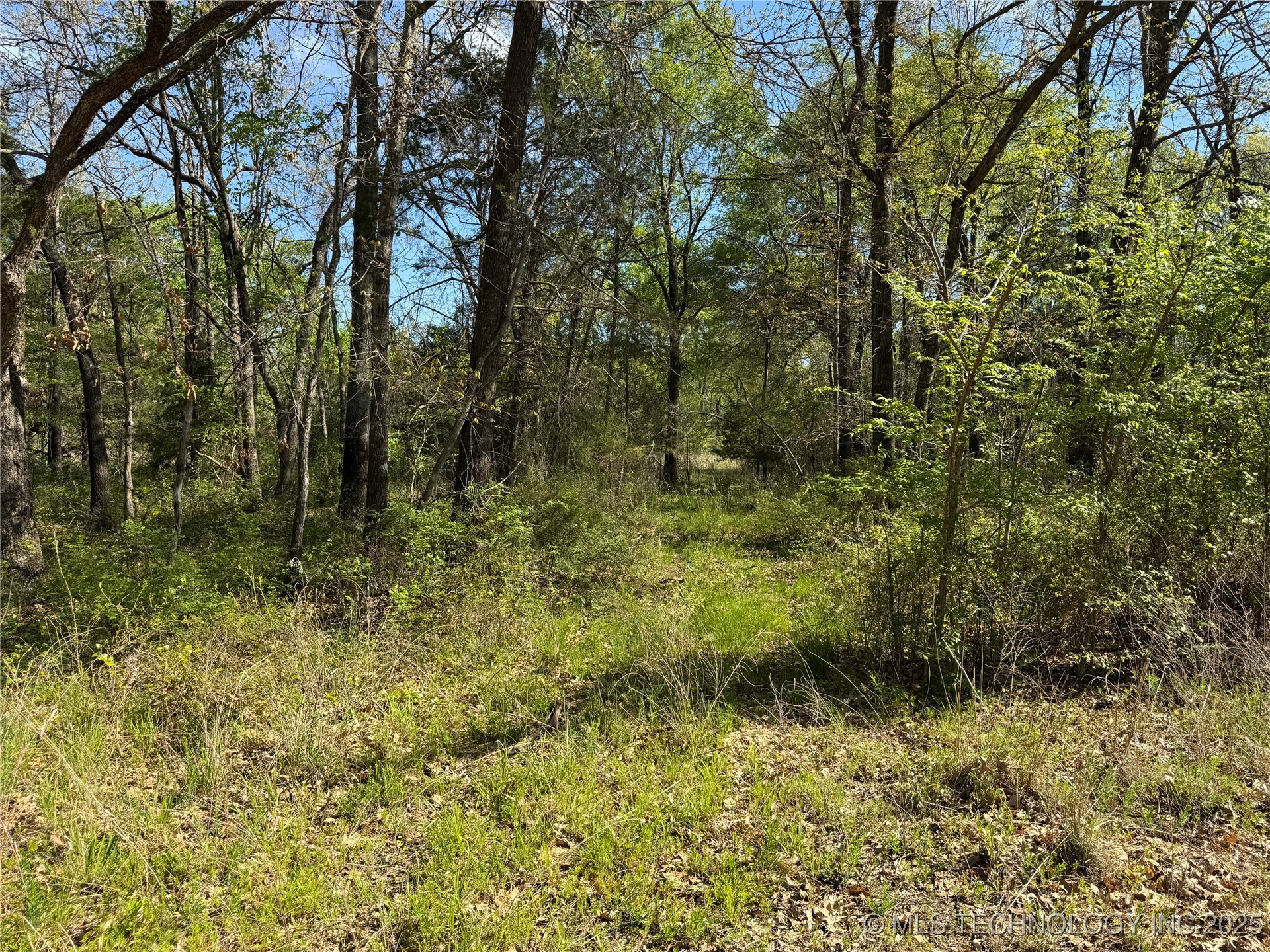 11 E Blue Creek Road Property Photo 34