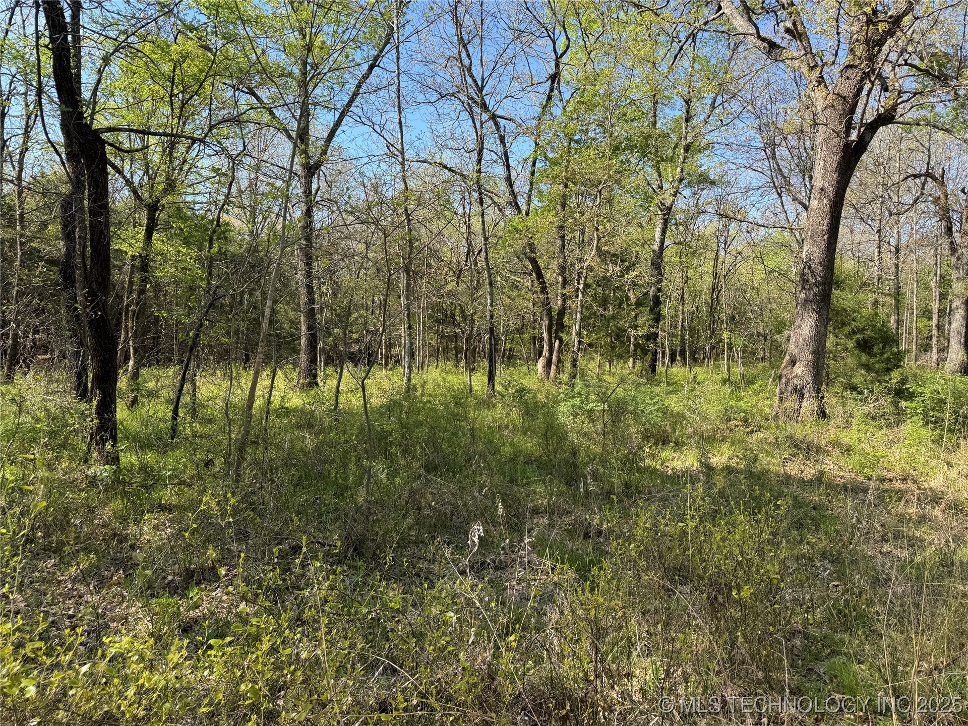 11 E Blue Creek Road Property Photo 36