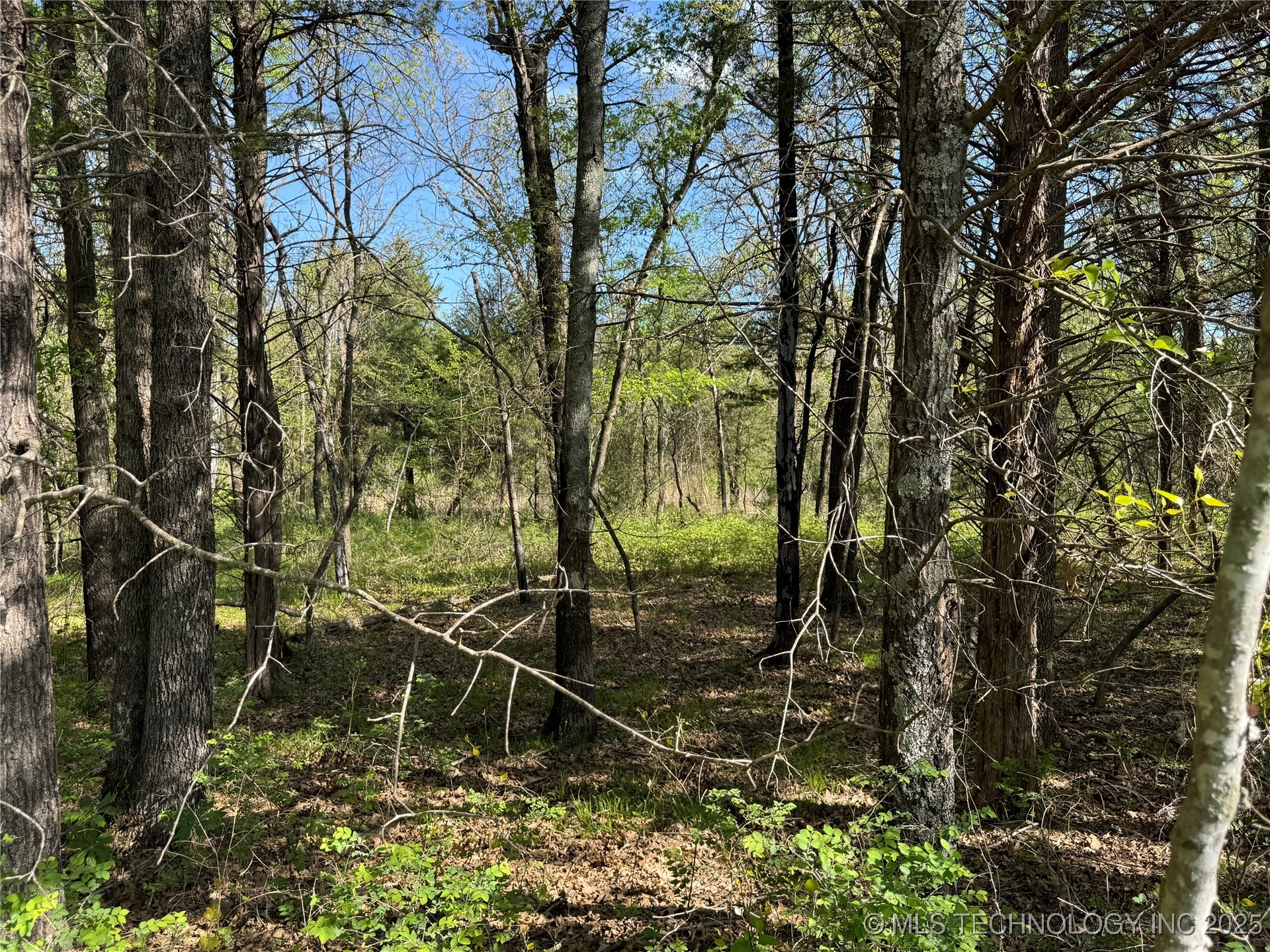 11 E Blue Creek Road Property Photo 37