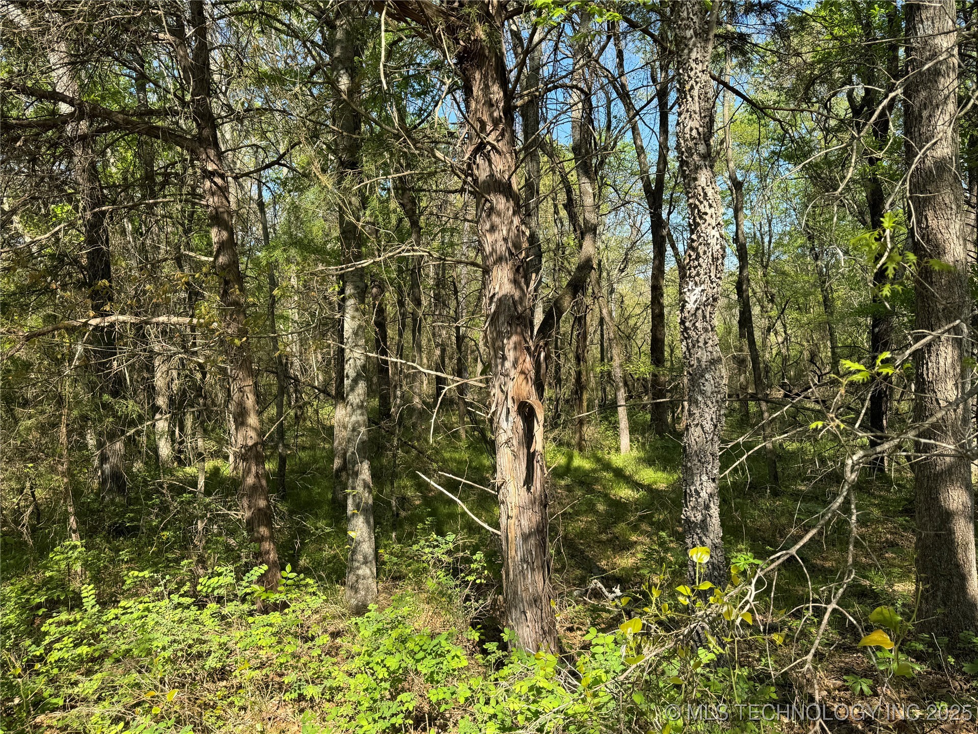 11 E Blue Creek Road Property Photo 38