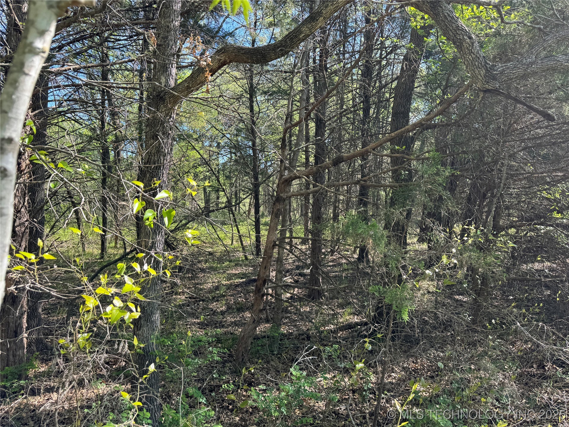 11 E Blue Creek Road Property Photo 39