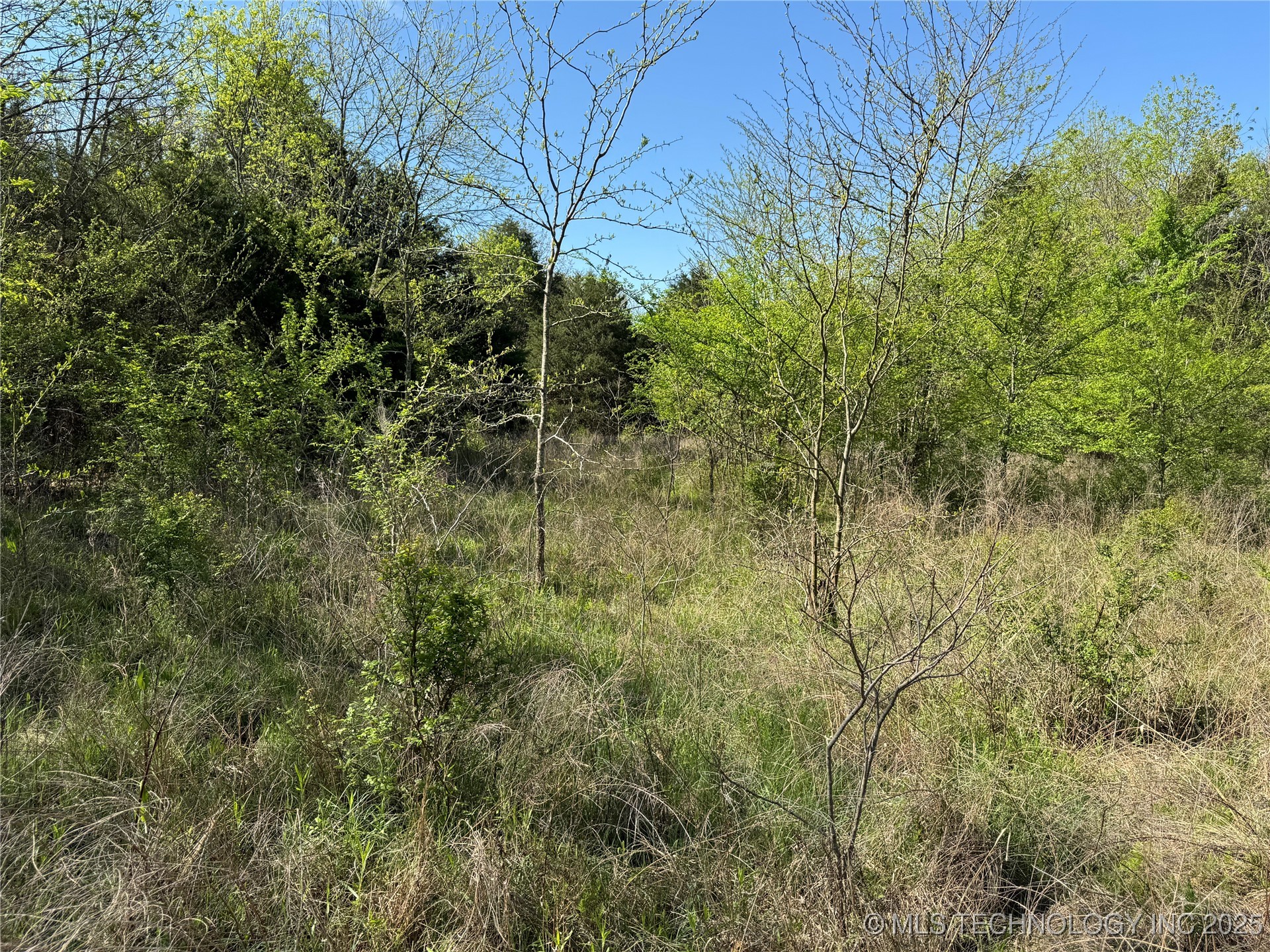 11 E Blue Creek Road Property Photo 40