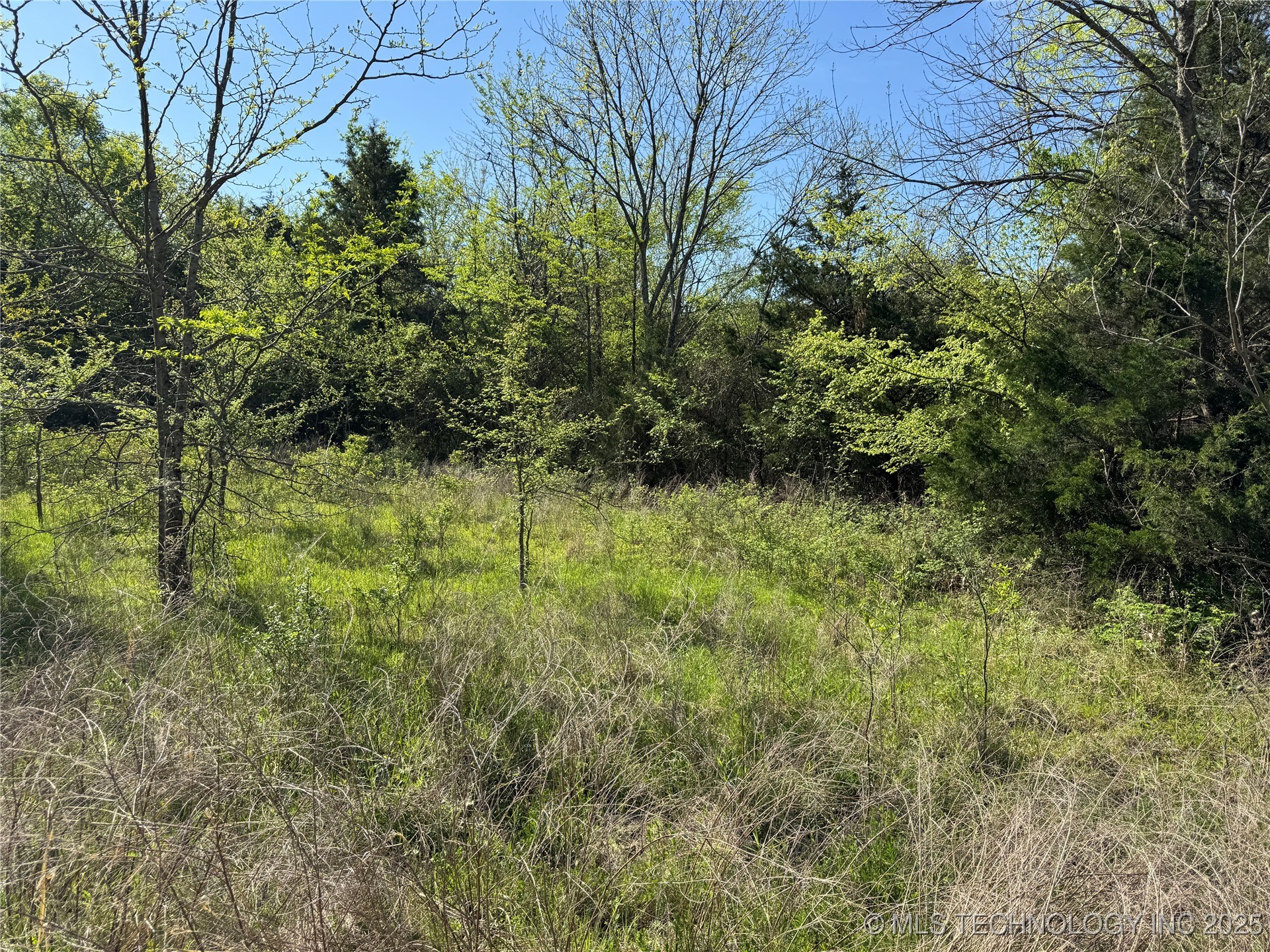 11 E Blue Creek Road Property Photo 41