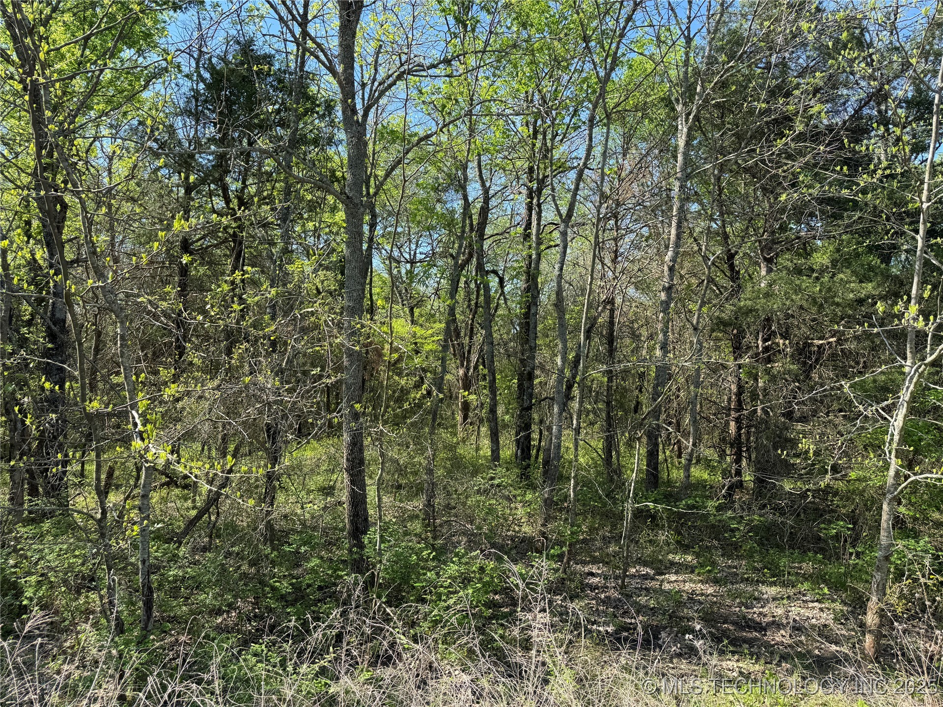 11 E Blue Creek Road Property Photo 43