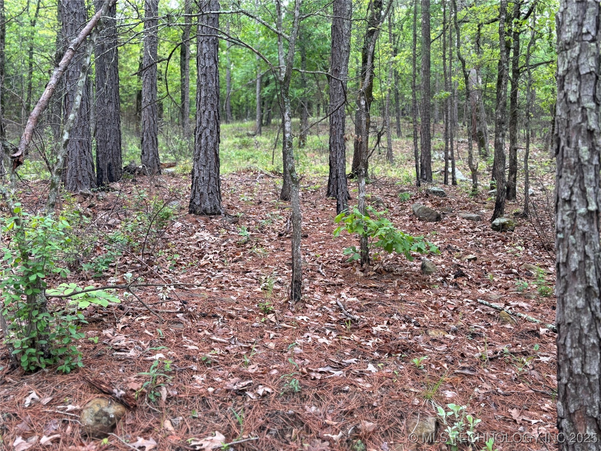 001 E Bolen Hollow W Property Photo 4