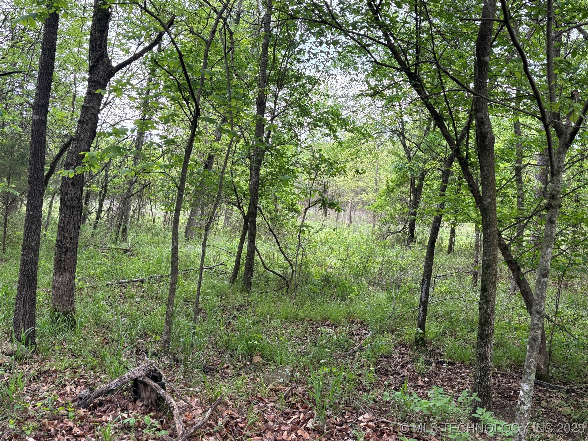 001 E Bolen Hollow W Property Photo 5